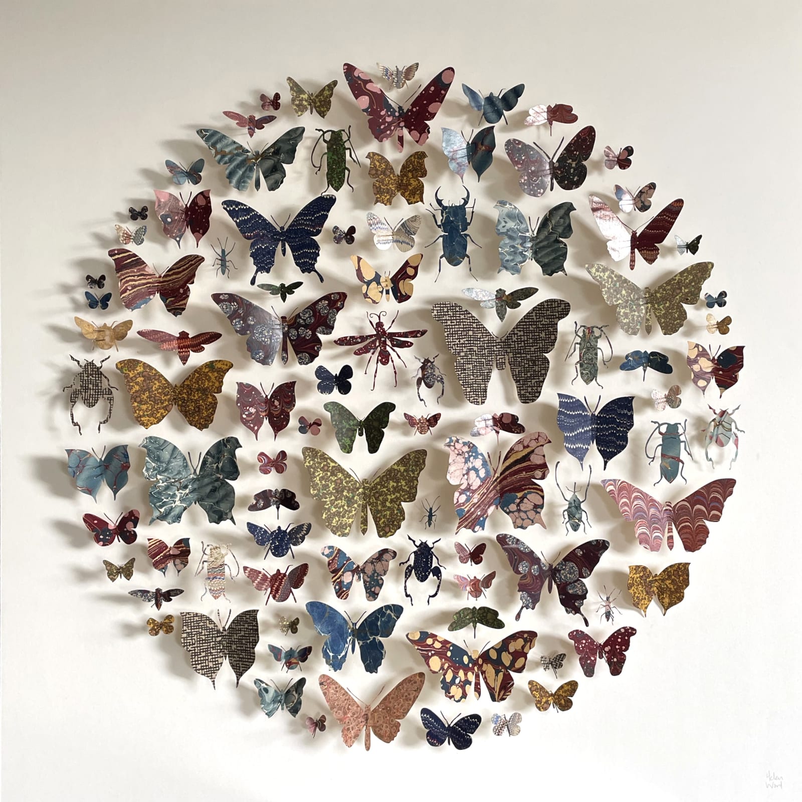 Helen Ward, entomology circle