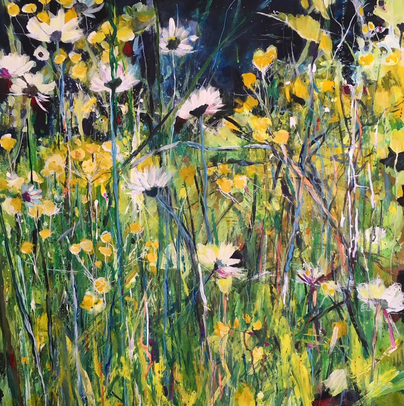 Eve Dawson, Oxeye Daisies in the Summer Meadow