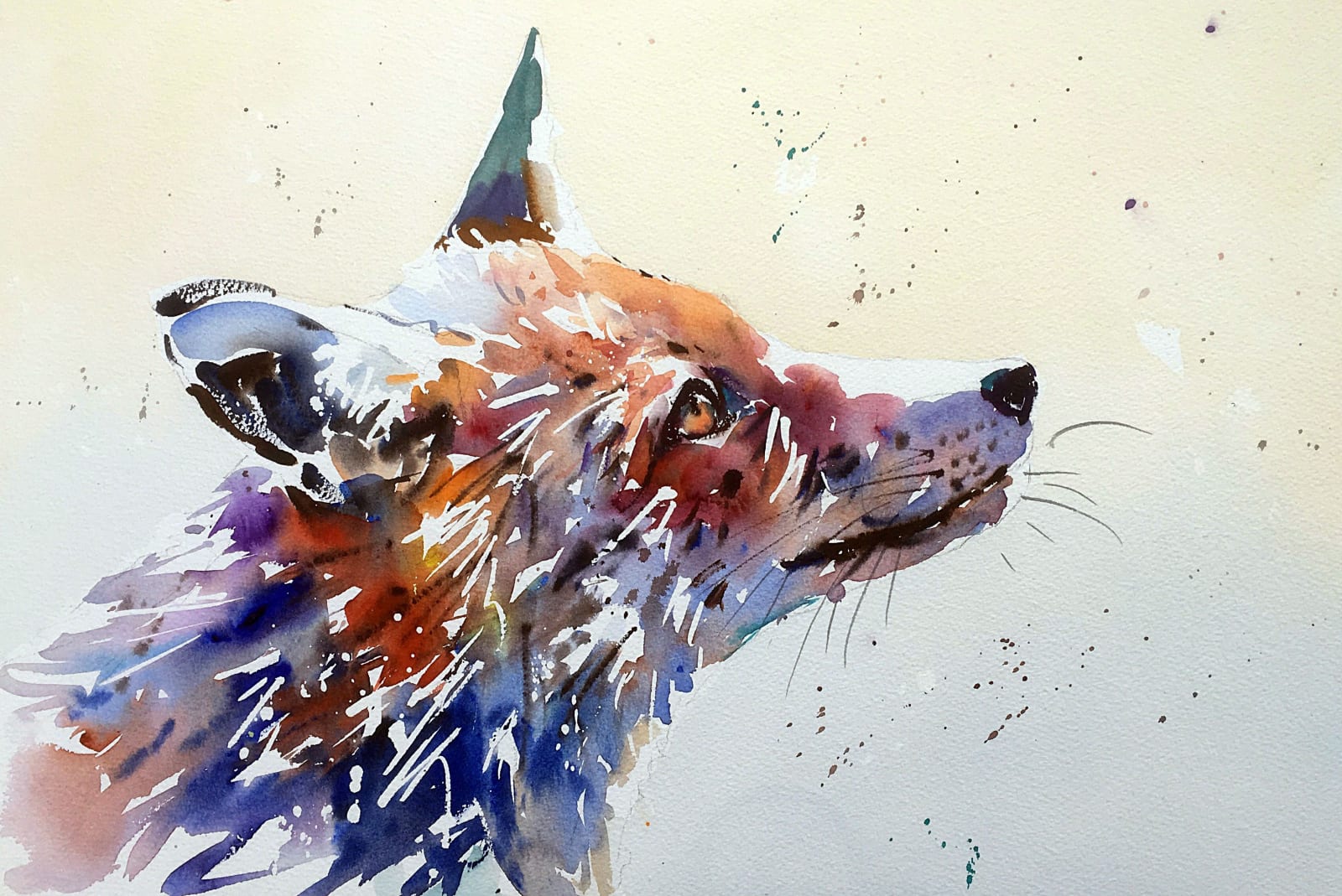 Jake Winkle, foxy