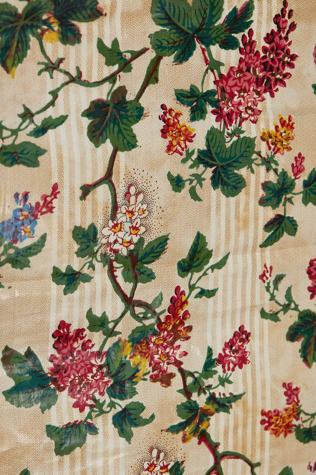 English, Glazed and printed chintz, ca. 1850