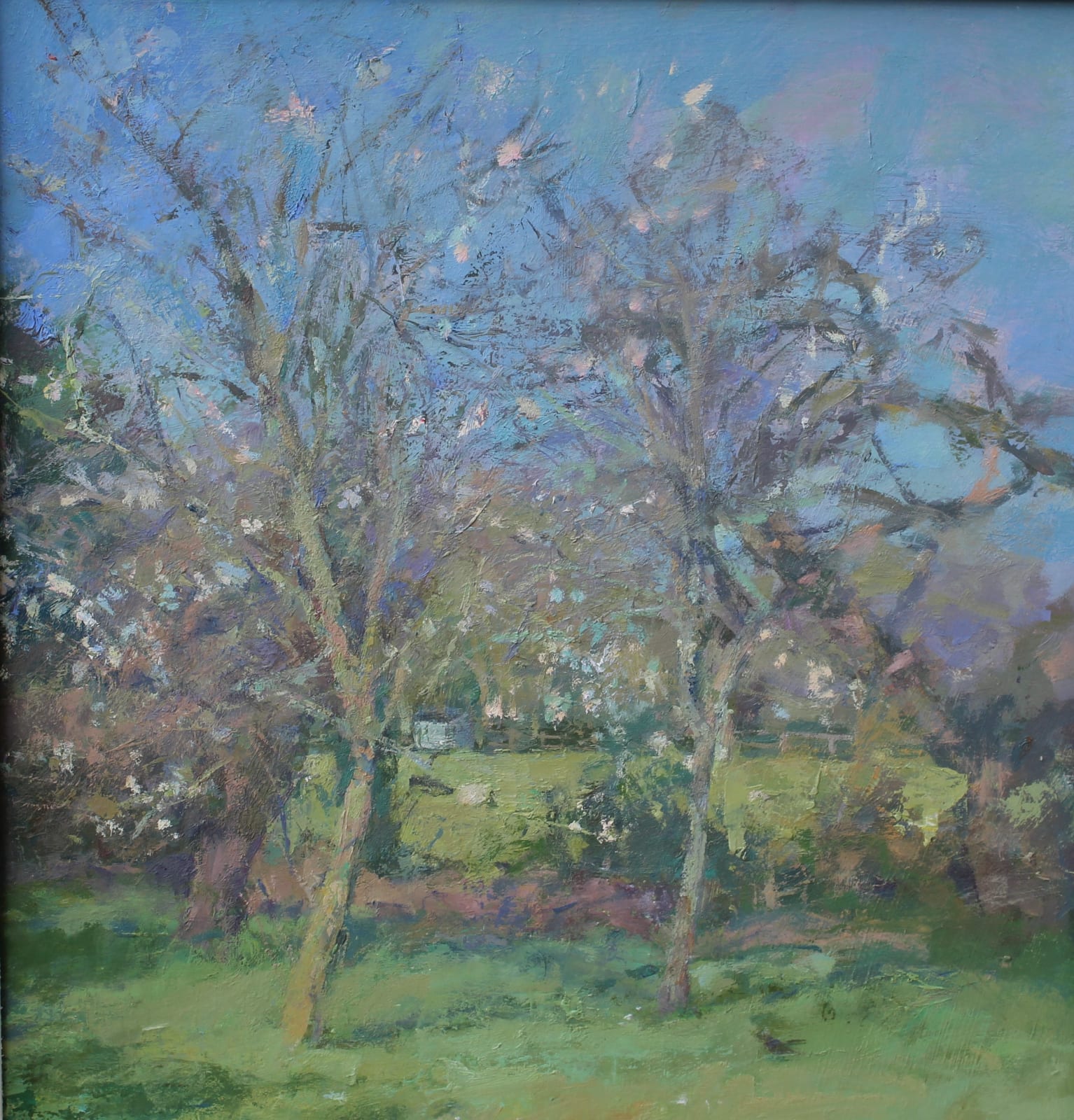 Jacqueline Williams, Spring