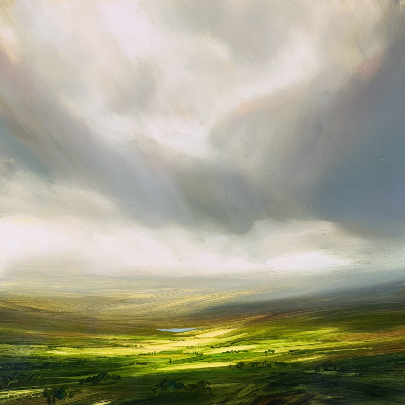 Harry Brioche, Shifting Skies