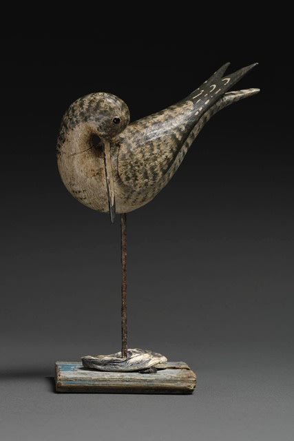 Stephen Henderson, Preening Shorebird