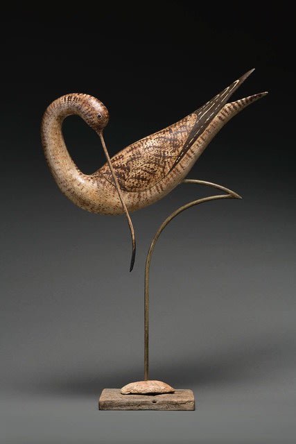 Stephen Henderson, Preening Curlew