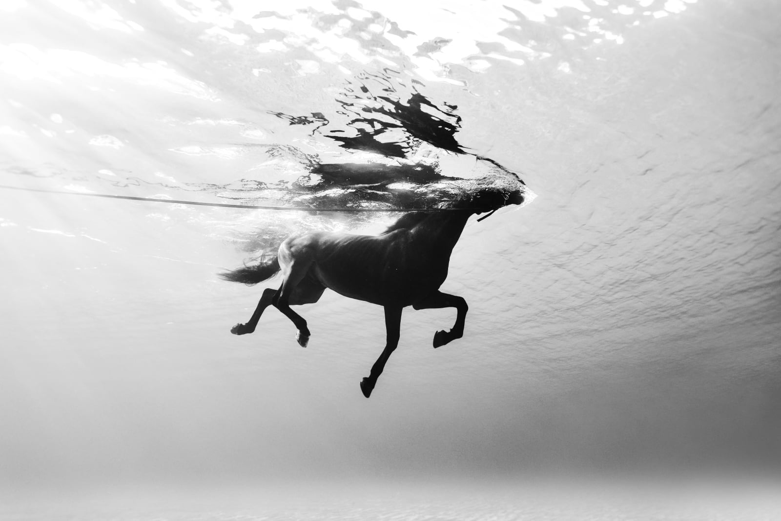 Kurt Arrigo, Photography; Letting Go