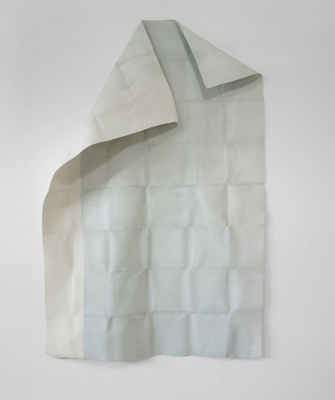 Ana María Rueda, De línea en línea #2, 2018