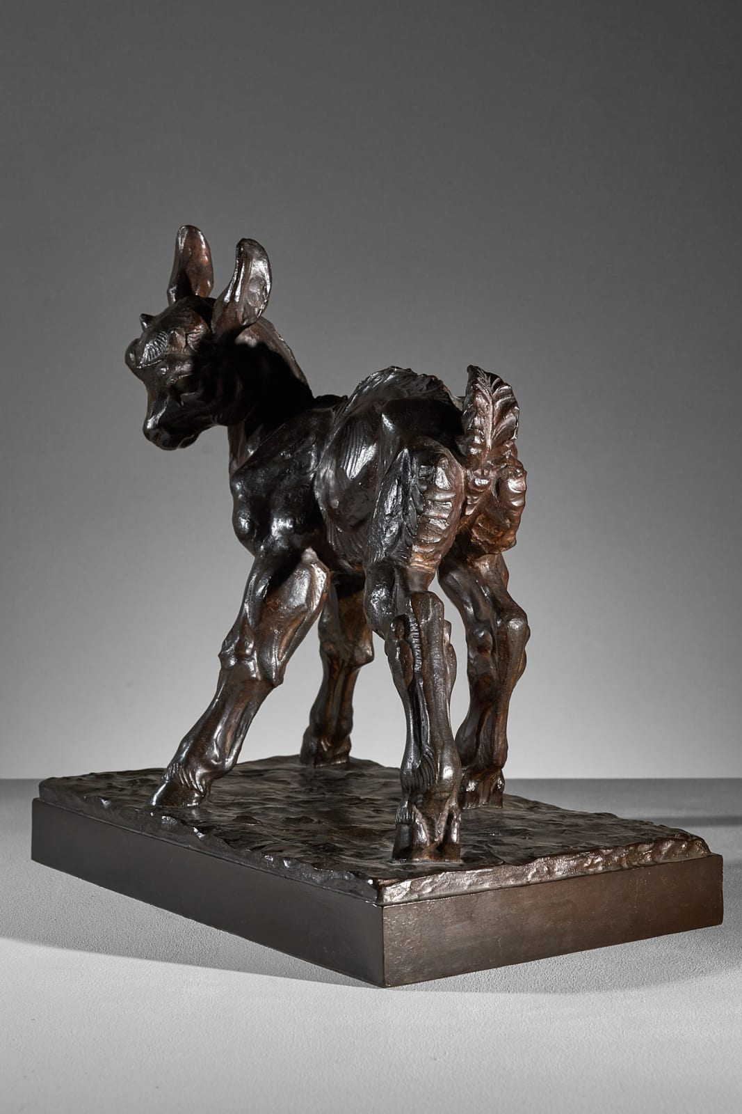 Raymond de Meester, Billy goat in attack position