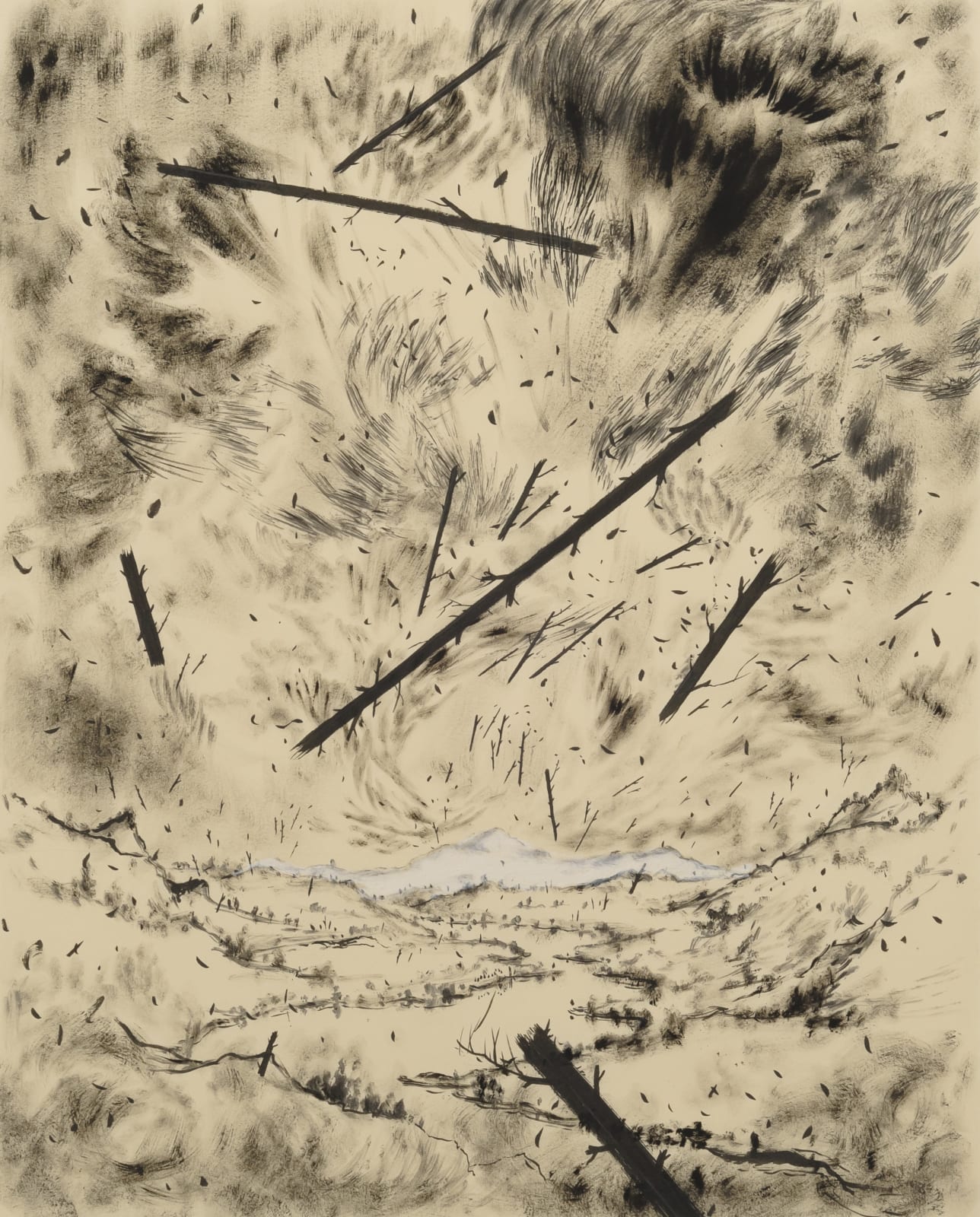 Eric Eriston Winarto, TORNADO, 2012