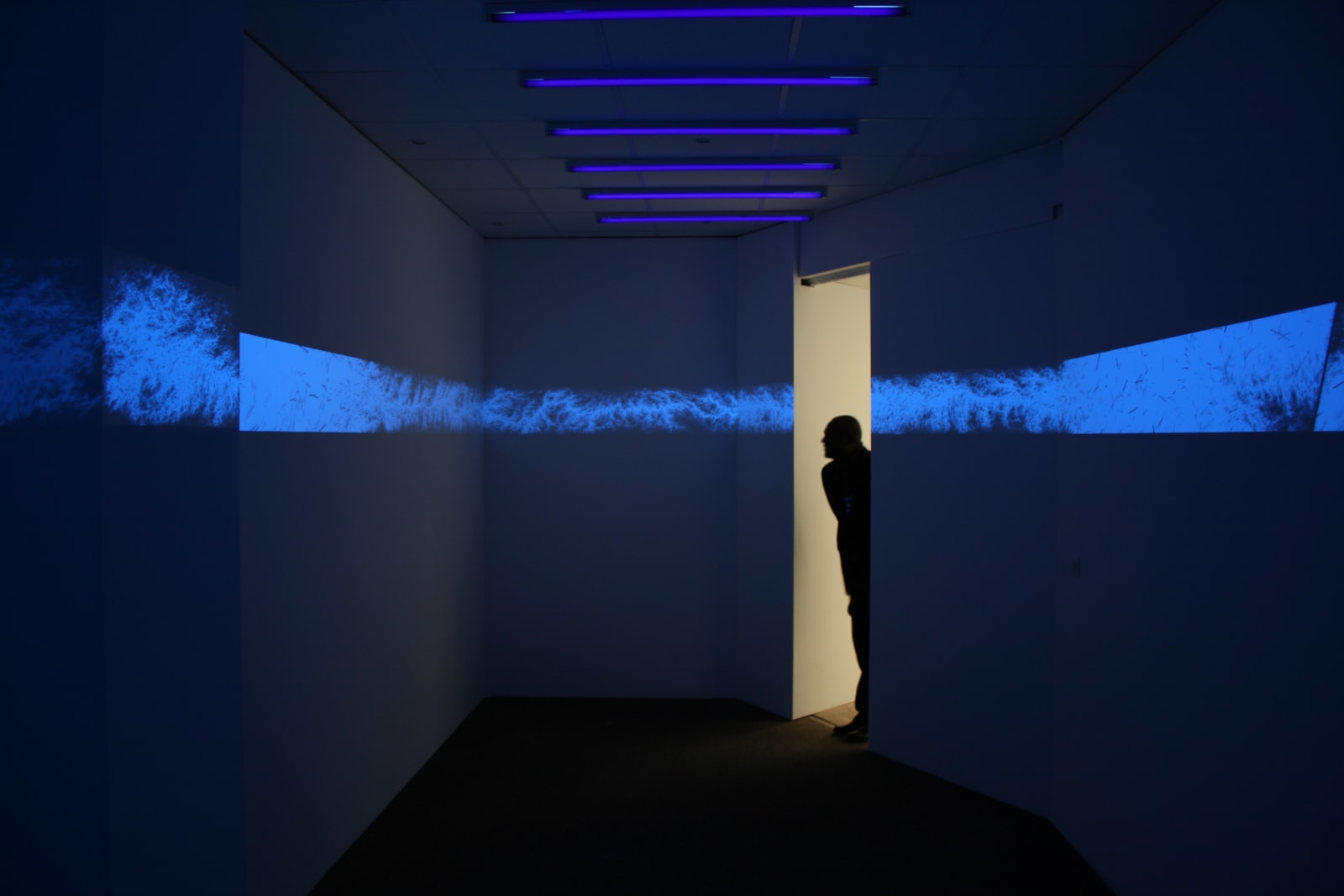 Eric Eriston Winarto, WALLPAINTING WALD IN PARIS FRANCE, 2012