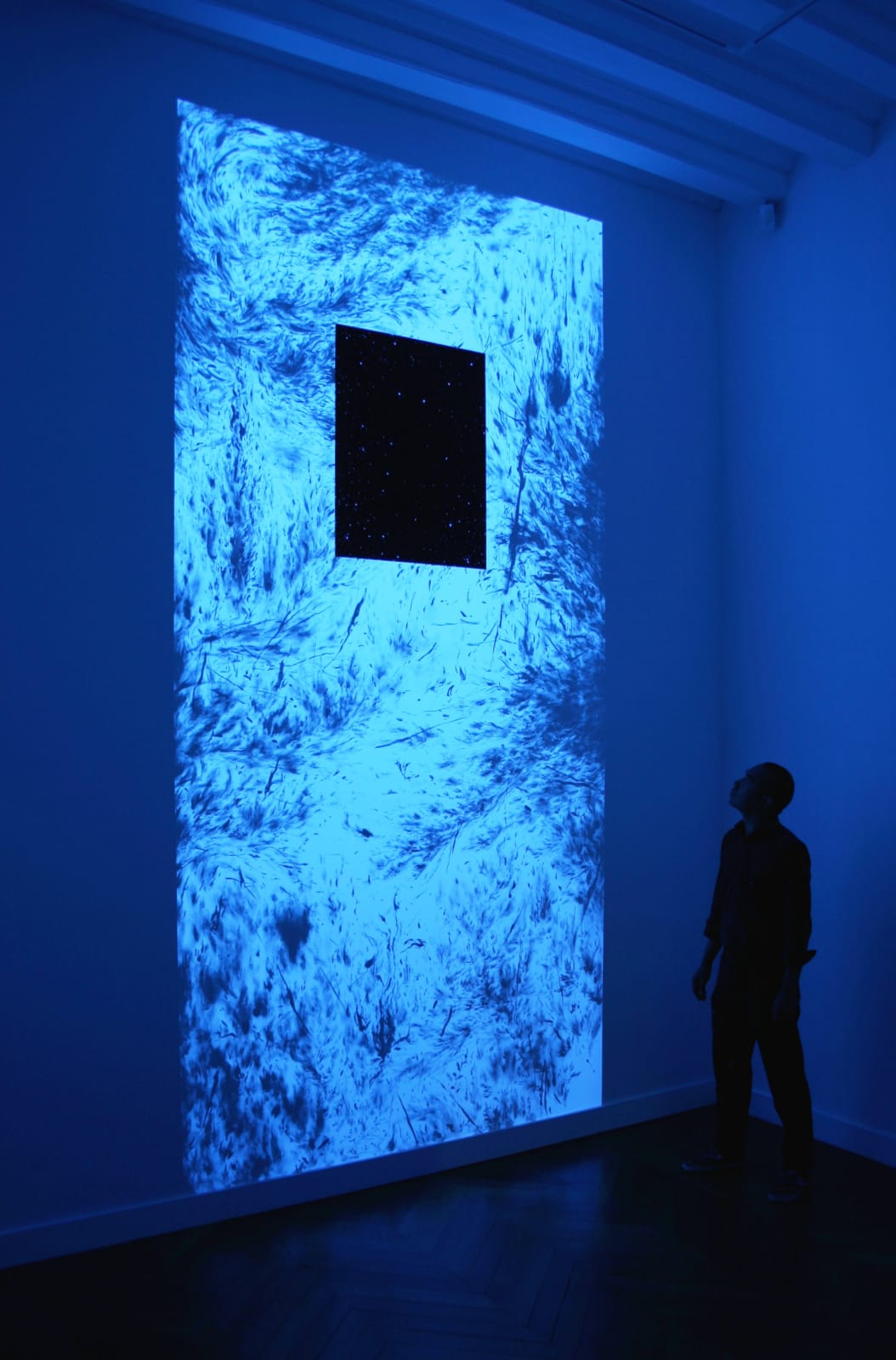 Eric Eriston Winarto, WALLPAINTING WALD IN BRITTANY FRANCE, 2015