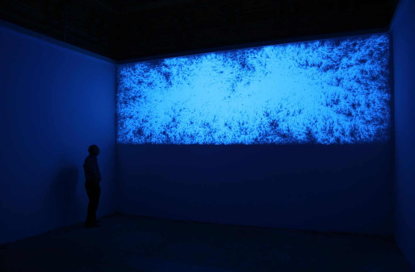 Eric Eriston Winarto, WALLPAINTING WALD IN VENICE ITALY, 2012