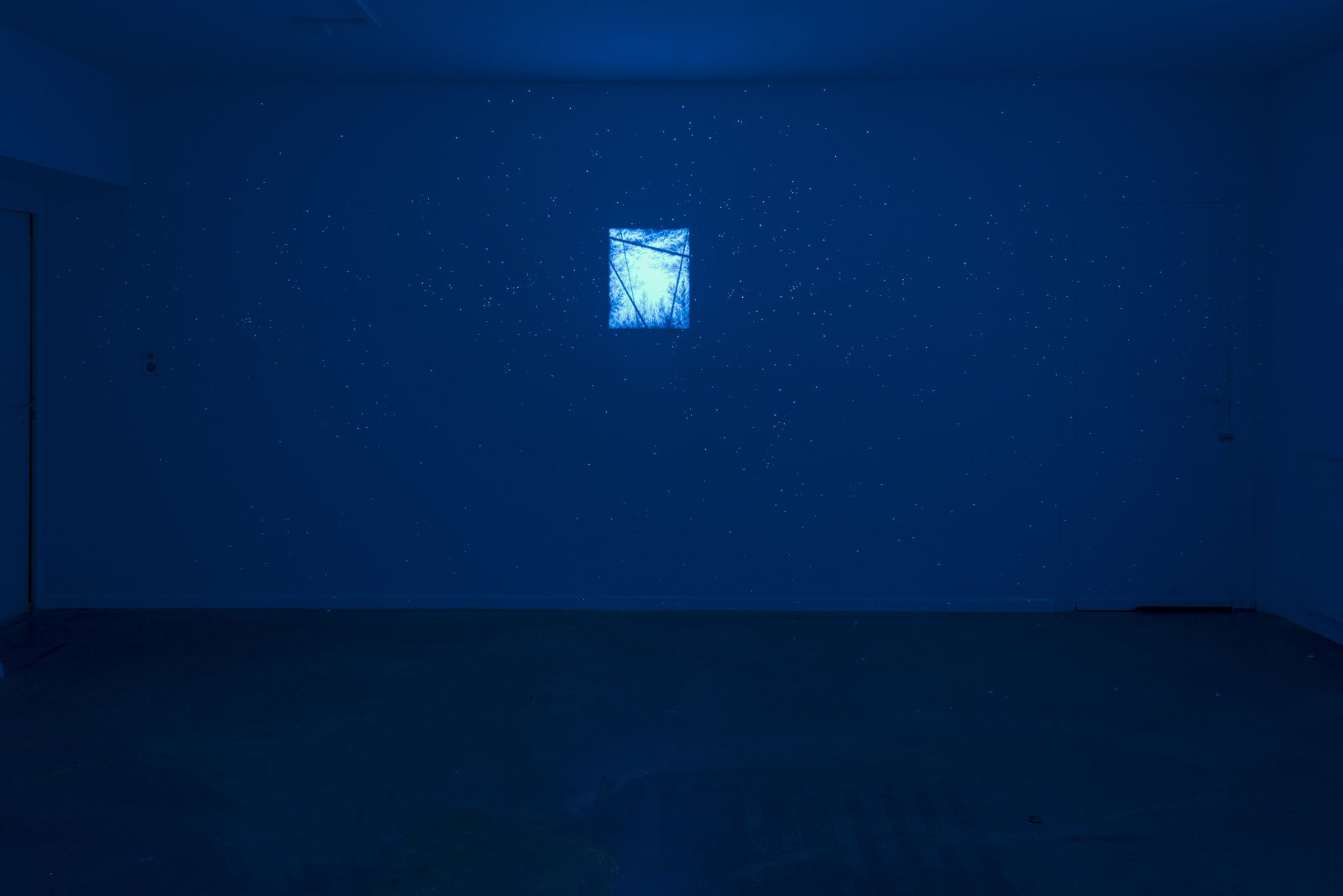 Eric Eriston Winarto, WALLPAINTING, BLACKLIGHT SELVA, GENEVA, SWITZERLAND , 2014