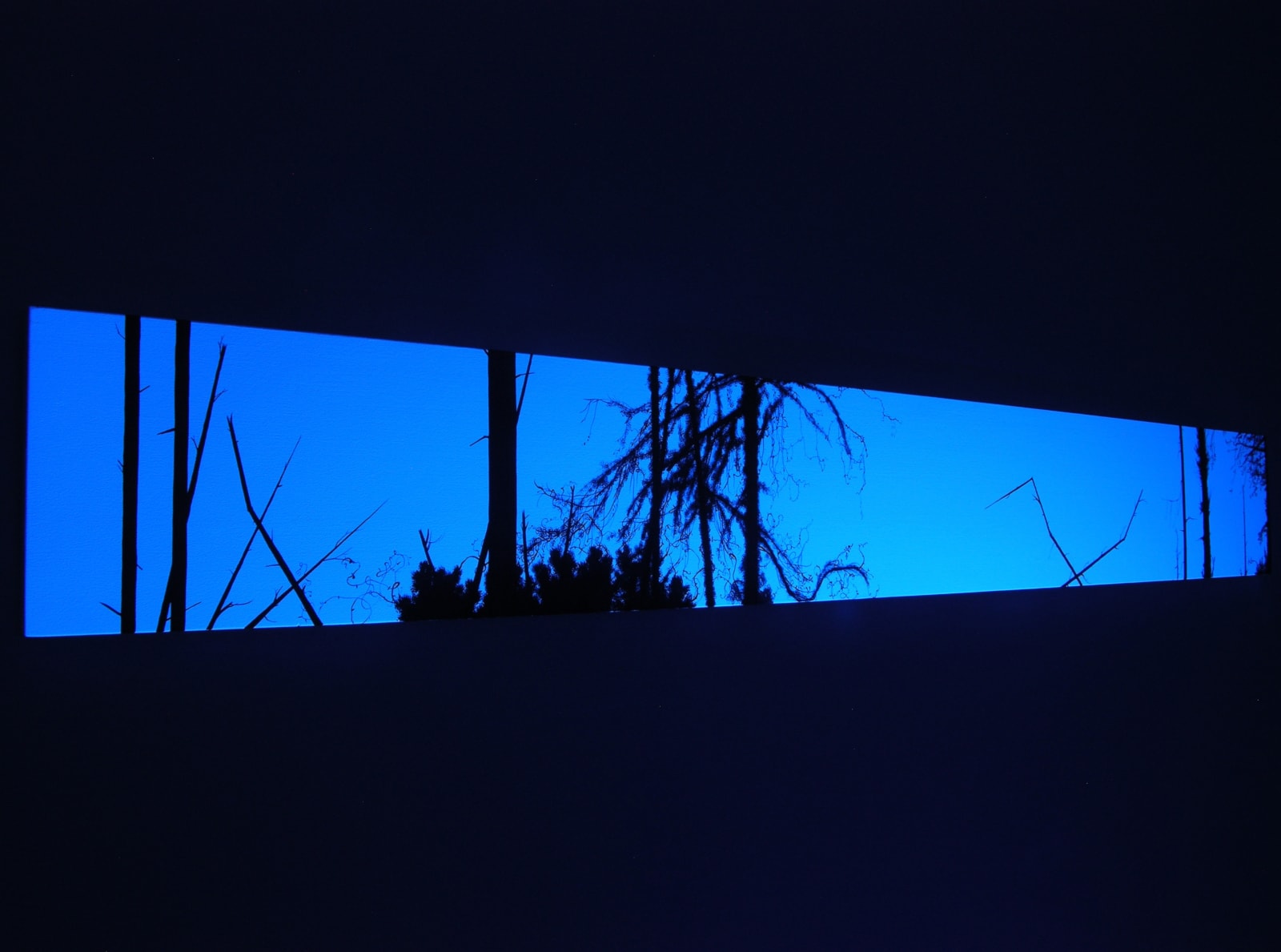 Eric Eriston Winarto, WALD, 2006