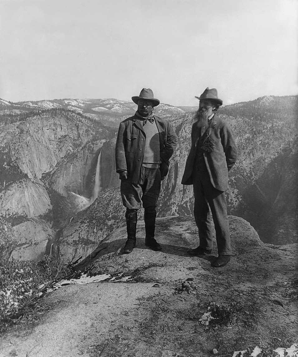Eric Eriston Winarto, THEODORE ROOSEVELT AND JOHN MUIR, 2020