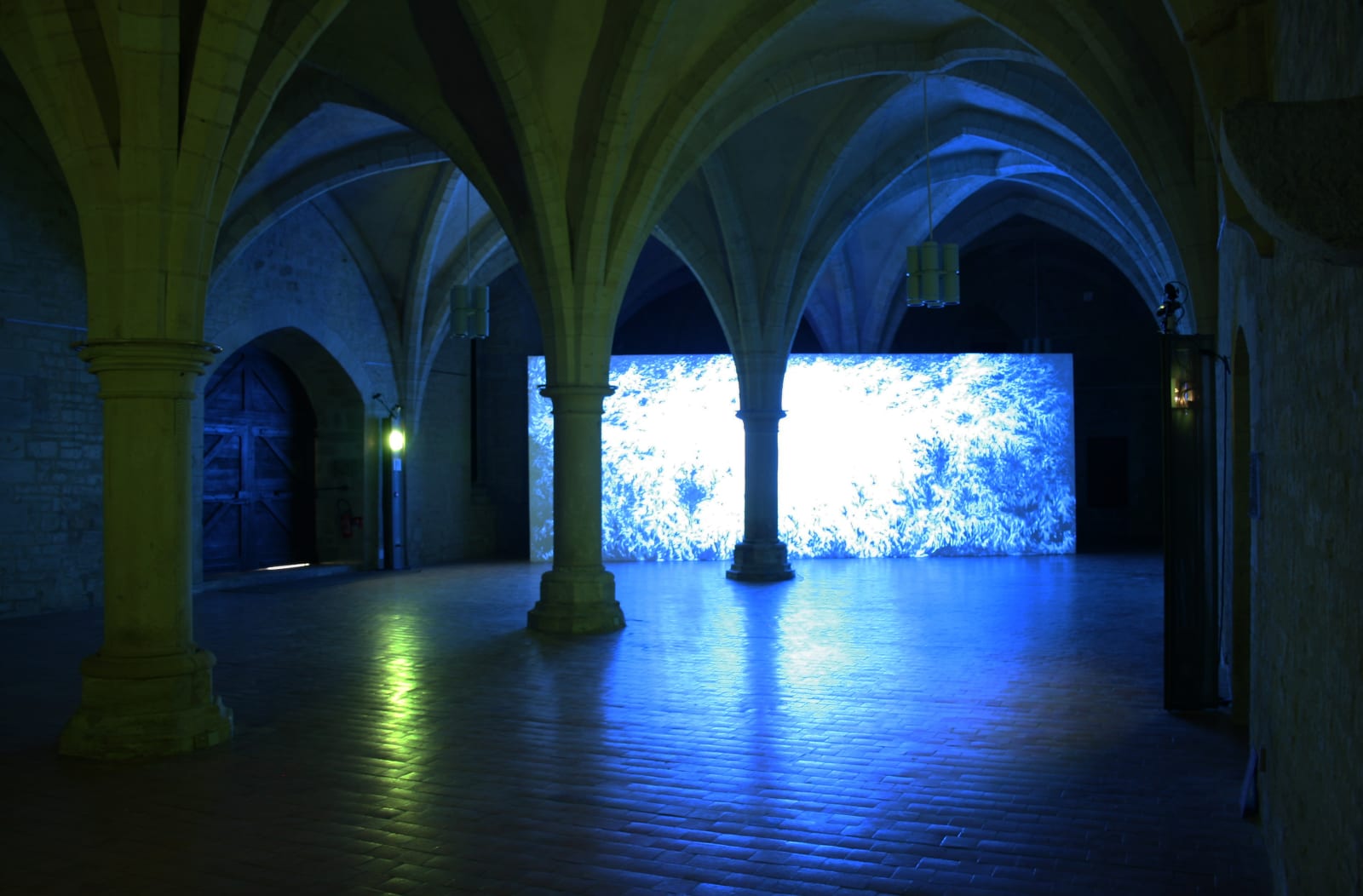 Eric Eriston Winarto, INSTALLATION, WALD, CHER, FRANCE, 2012