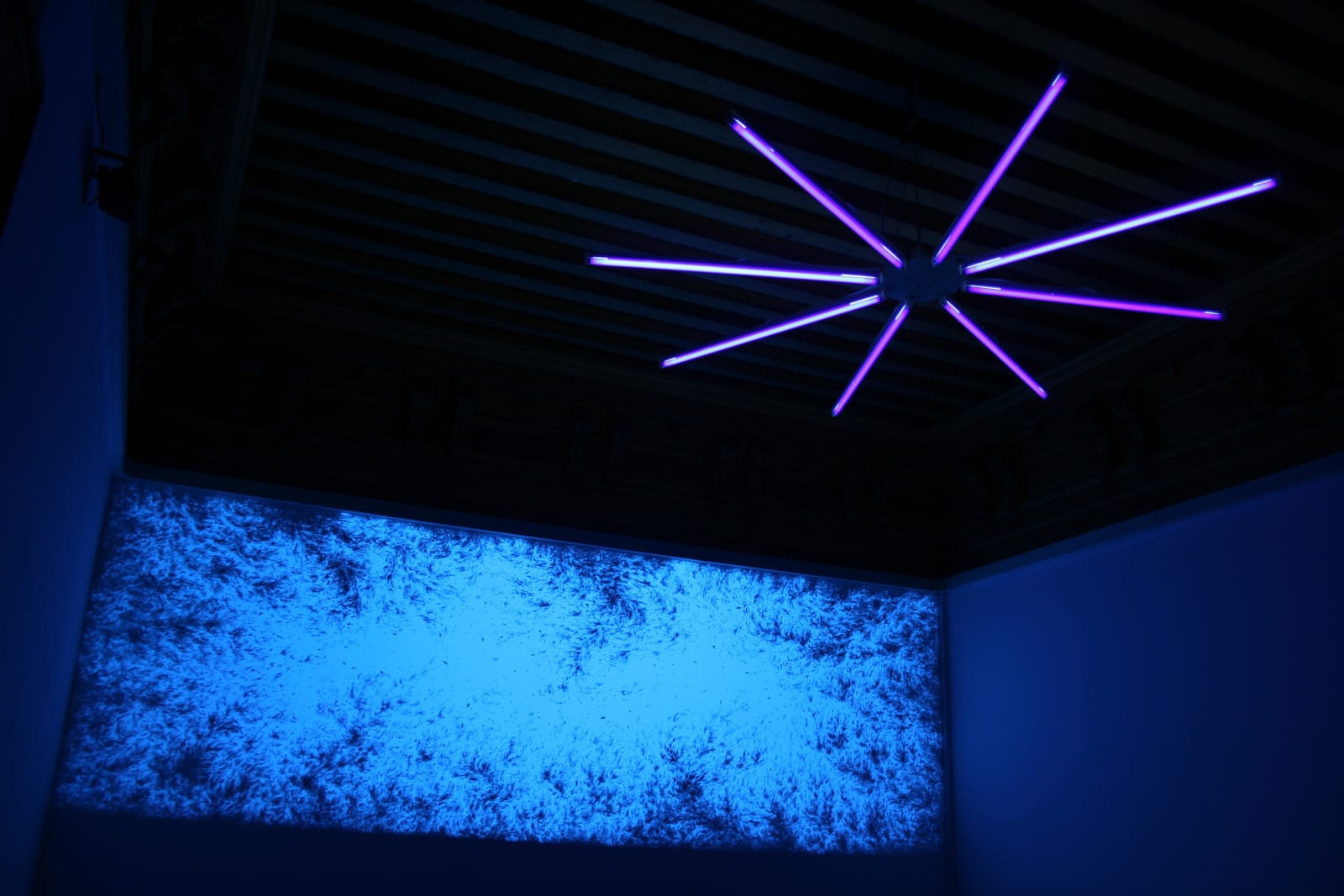 Eric Eriston Winarto, WALLPAINTING WALD IN VENICE ITALY, 2012