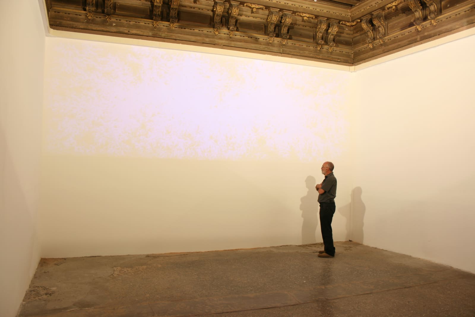 Eric Eriston Winarto, WALLPAINTING WALD IN VENICE ITALY, 2012