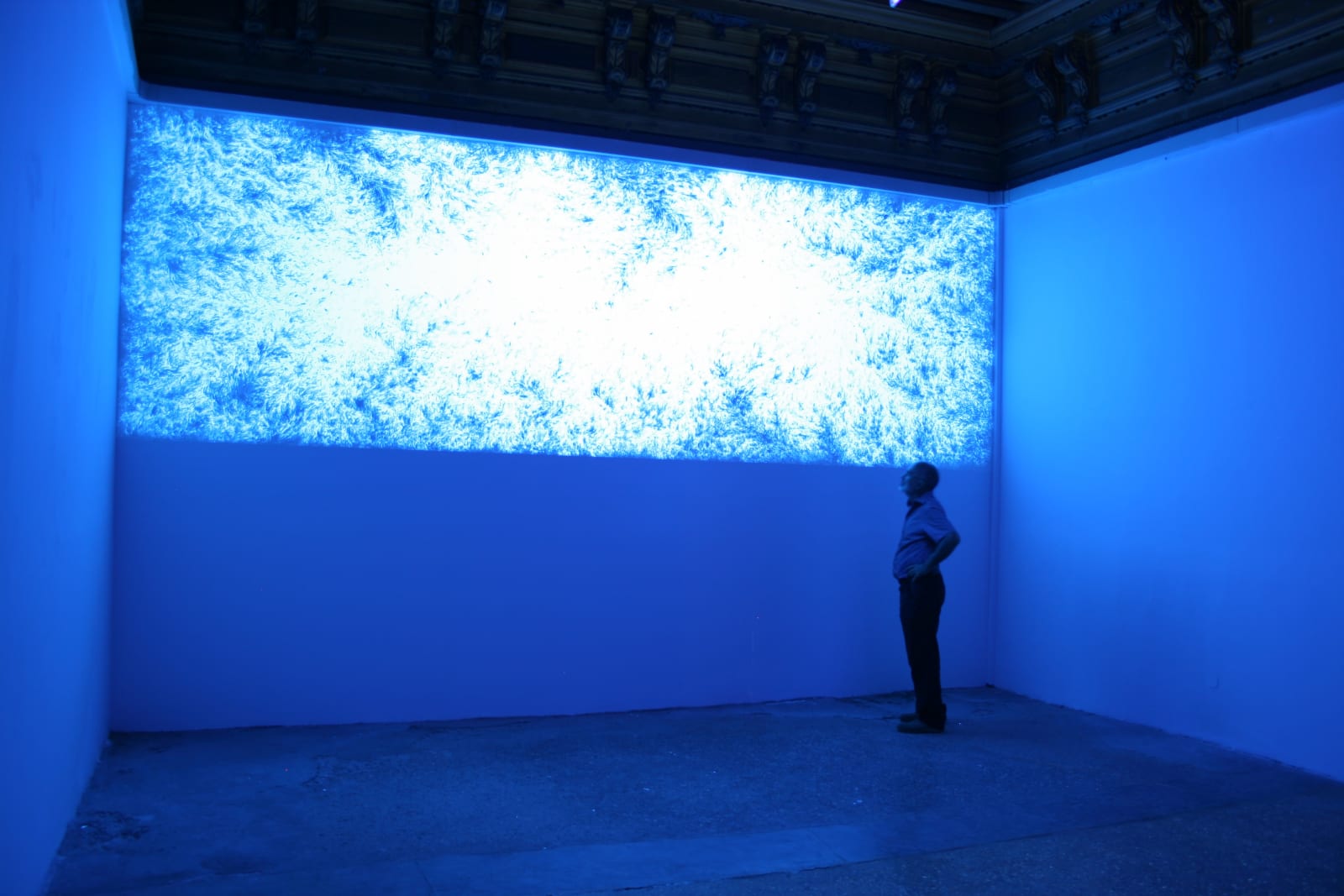 Eric Eriston Winarto, WALLPAINTING WALD IN VENICE ITALY, 2012