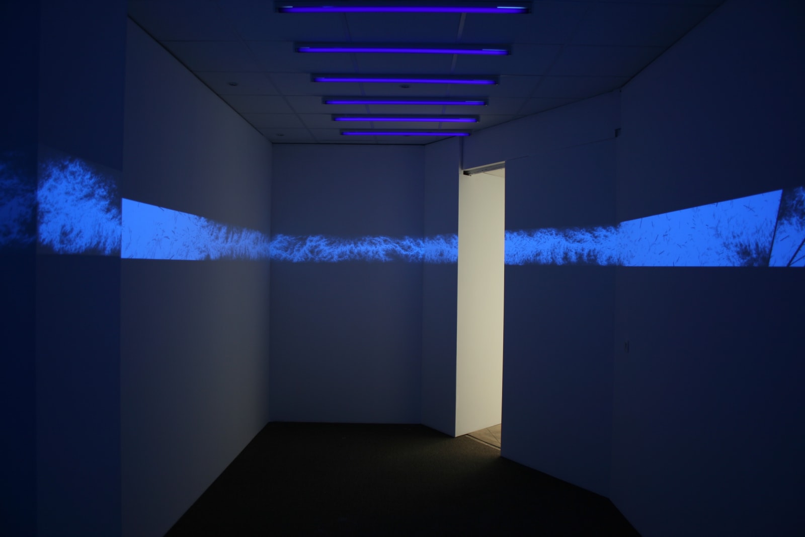 Eric Eriston Winarto, WALLPAINTING WALD IN PARIS FRANCE, 2012