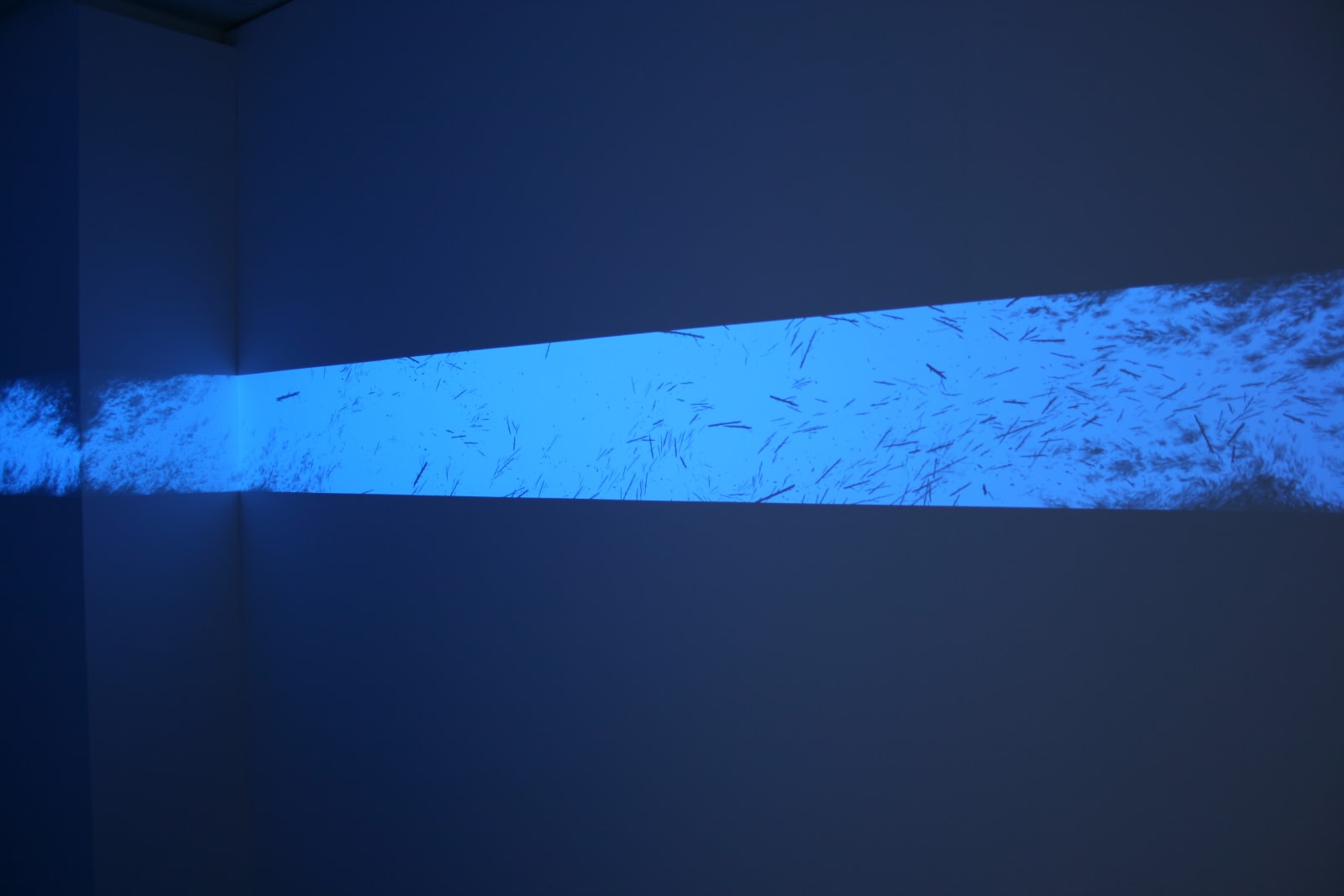 Eric Eriston Winarto, WALLPAINTING WALD IN PARIS FRANCE, 2012