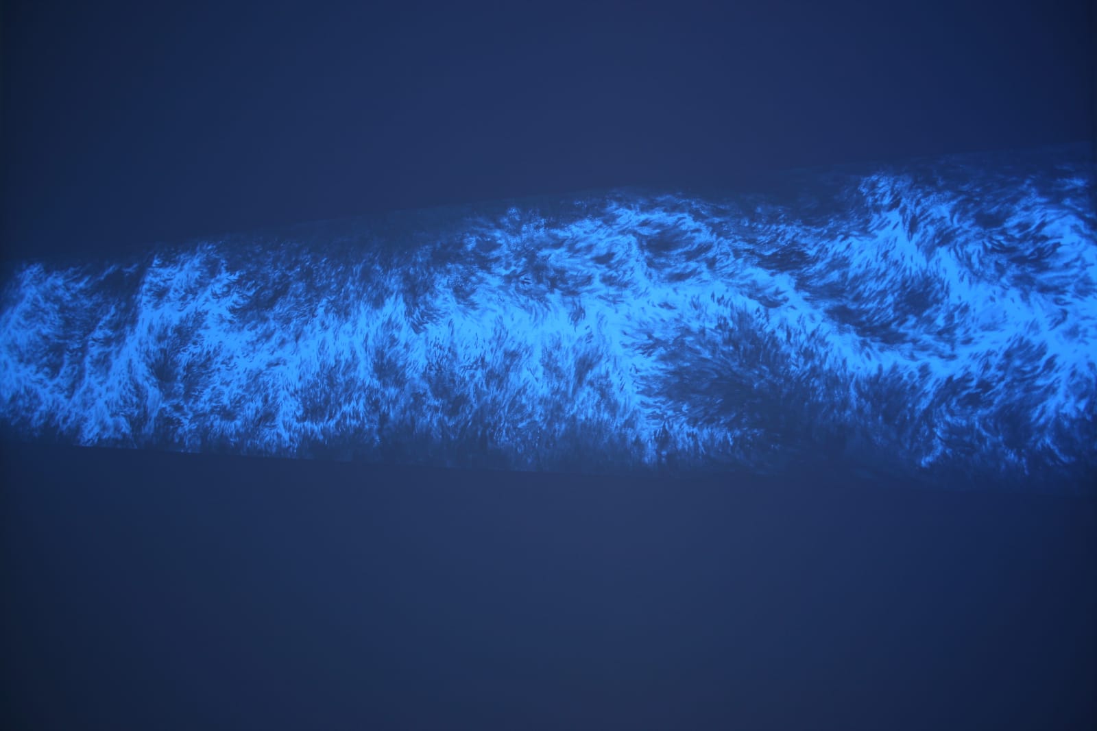 Eric Eriston Winarto, WALLPAINTING WALD IN PARIS FRANCE, 2012