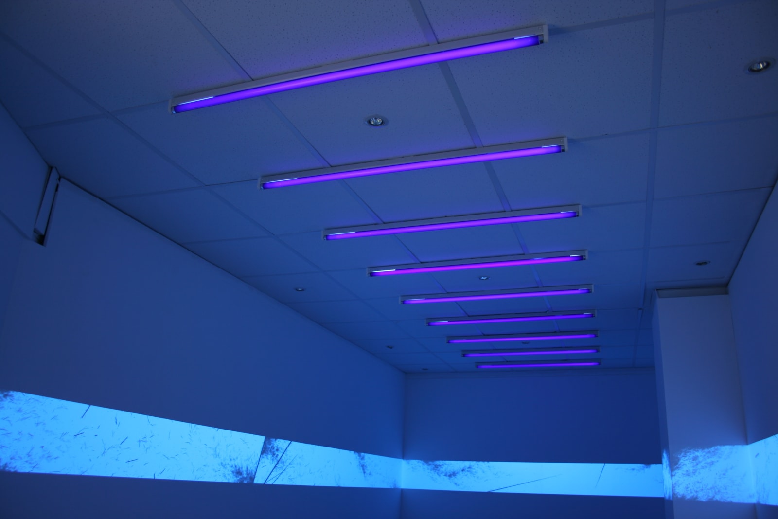 Eric Eriston Winarto, WALLPAINTING WALD IN PARIS FRANCE, 2012