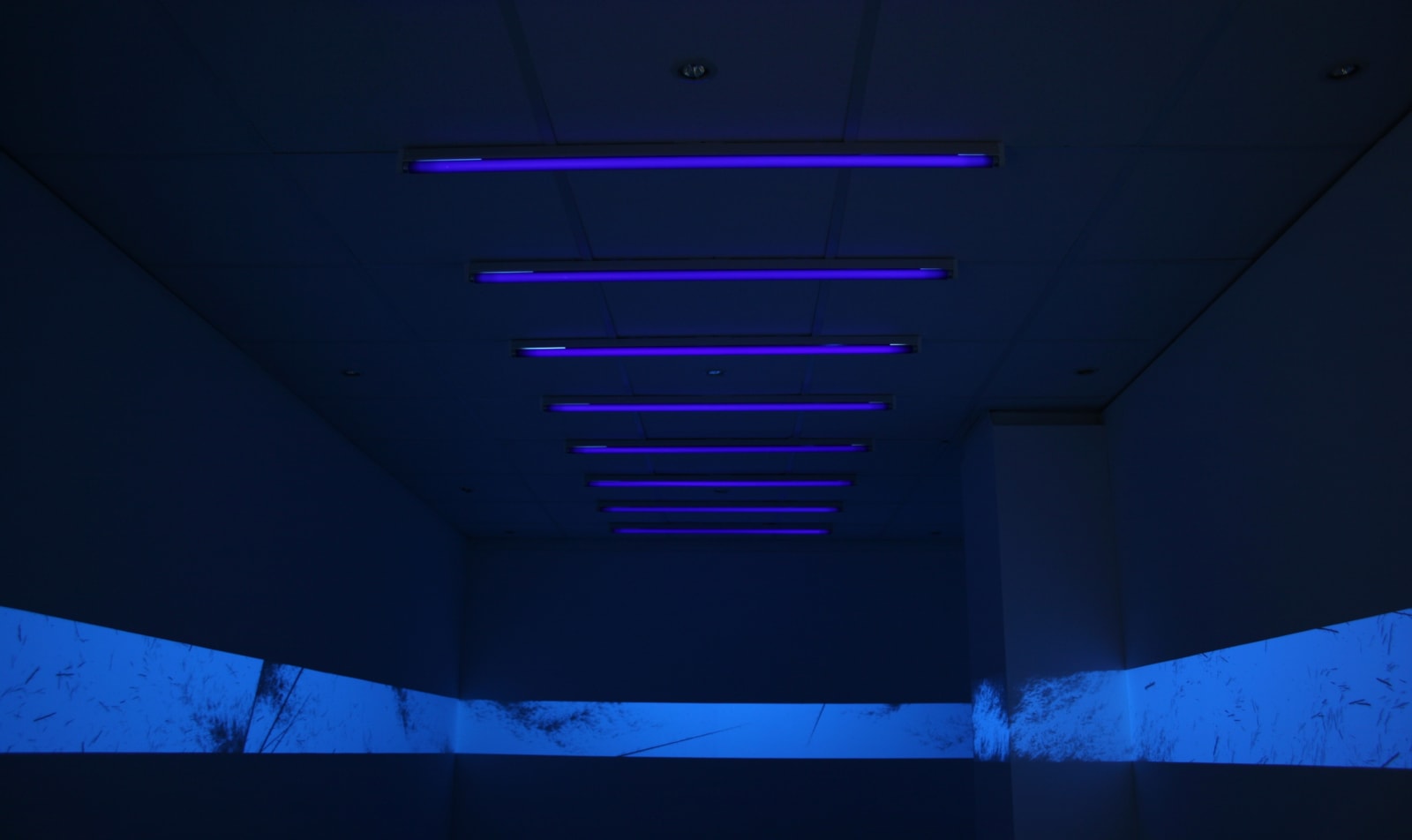 Eric Eriston Winarto, WALLPAINTING WALD IN PARIS FRANCE, 2012