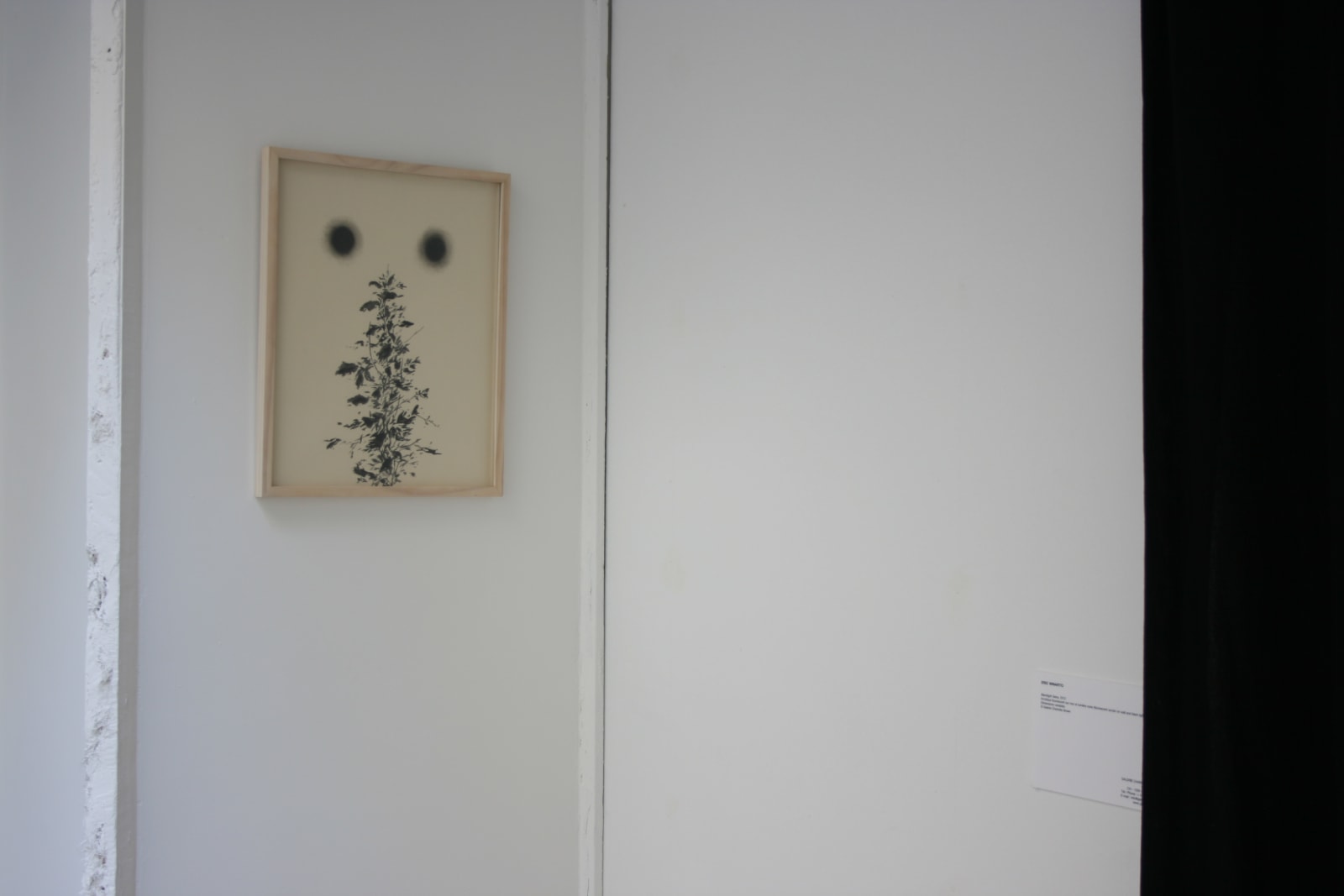 Eric Eriston Winarto, WALLPAINTING WALD IN PARIS FRANCE, 2012