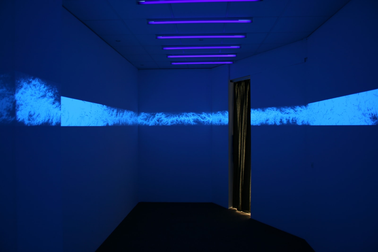 Eric Eriston Winarto, WALLPAINTING WALD IN PARIS FRANCE, 2012