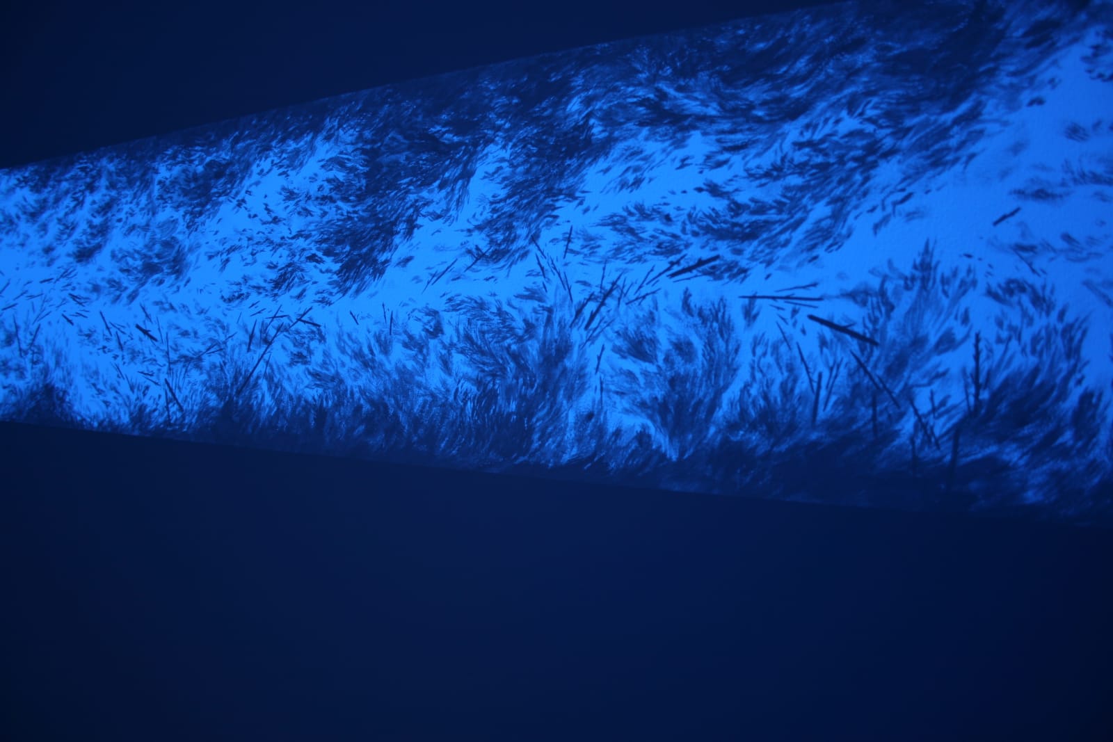 Eric Eriston Winarto, WALLPAINTING WALD IN PARIS FRANCE, 2012