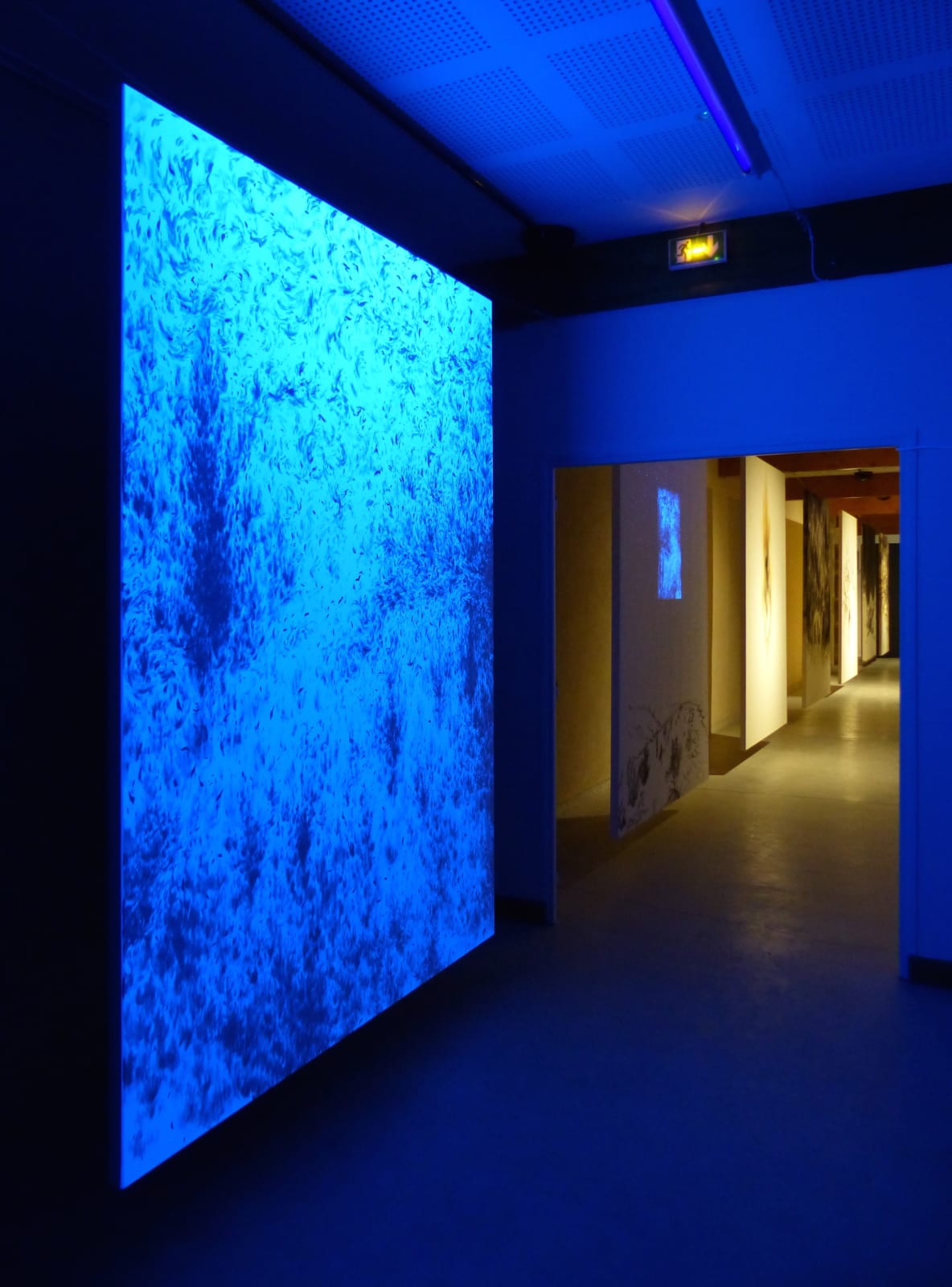 Eric Eriston Winarto, INSTALLATION, CREUSE, FRANCE, 2016