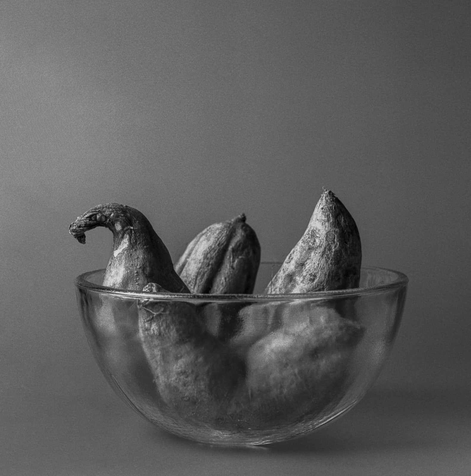 Pili Concellón, SWEET POTATOES, 2021