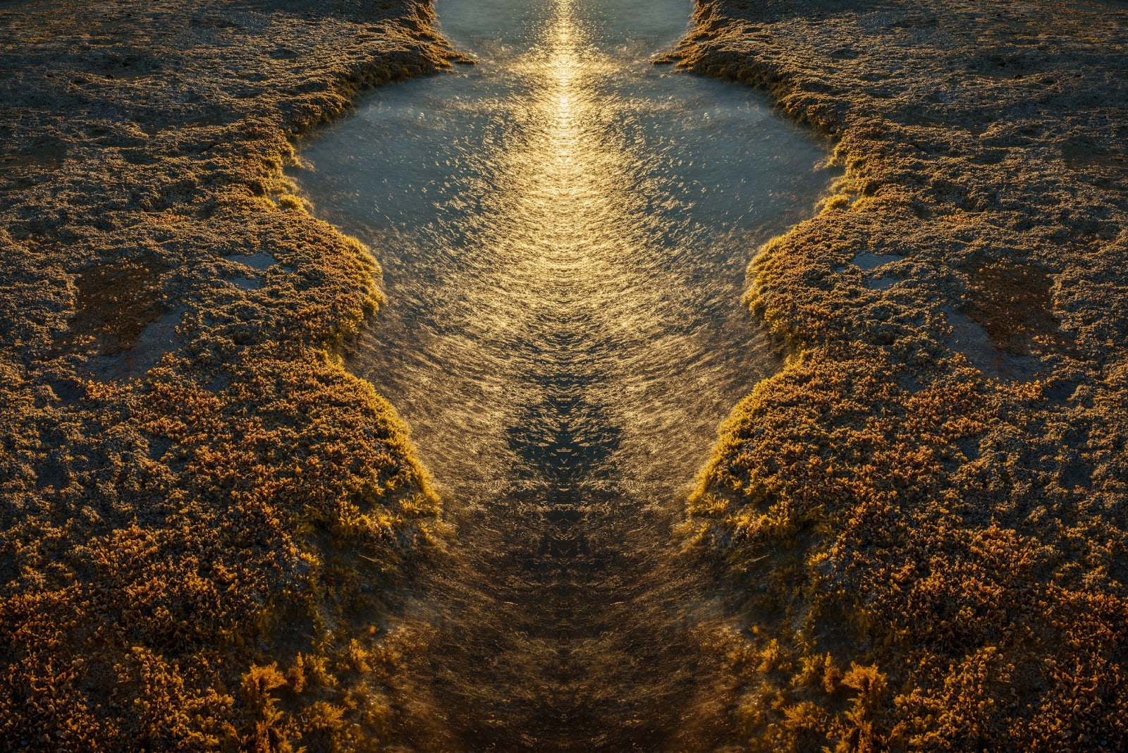 Marek Sanak, Aurum #12