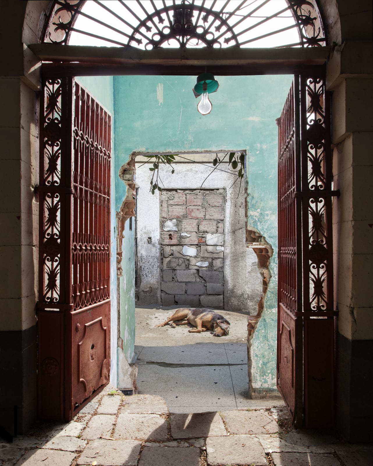 Amalia Caputo Disappearance IIe (Cocoon) 2019 Archival Pigment Print Edi. 6 + 2 P/A Tamaño pequeño 8 x 14 pulgadas (20 x 35 cm) Tamaño grande 20 x 35 pulgadas (50 x 89 cm)