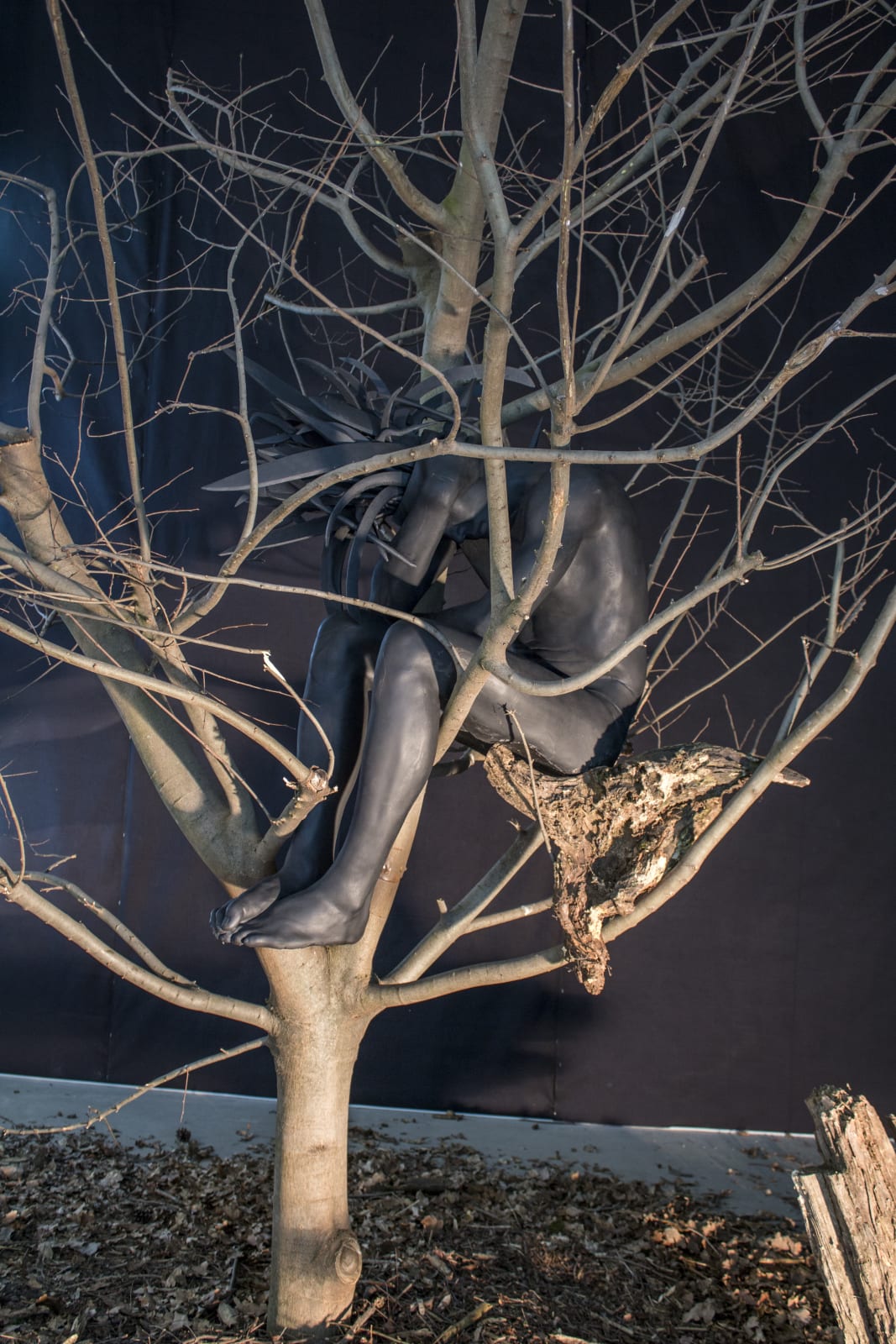 Ronald Ventura, Night Rebel, 2015