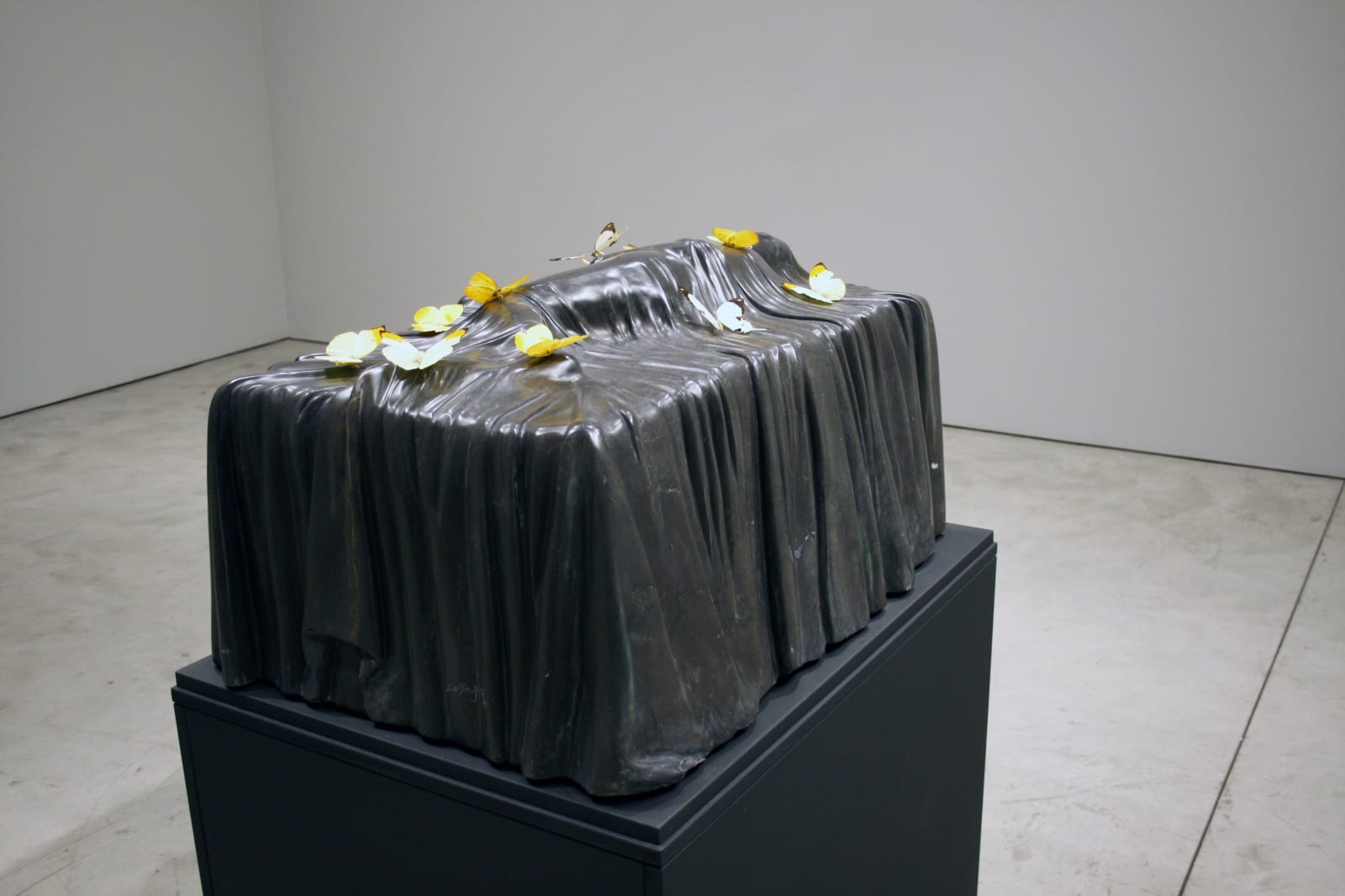 Liu Ding, Butterfly, 2006