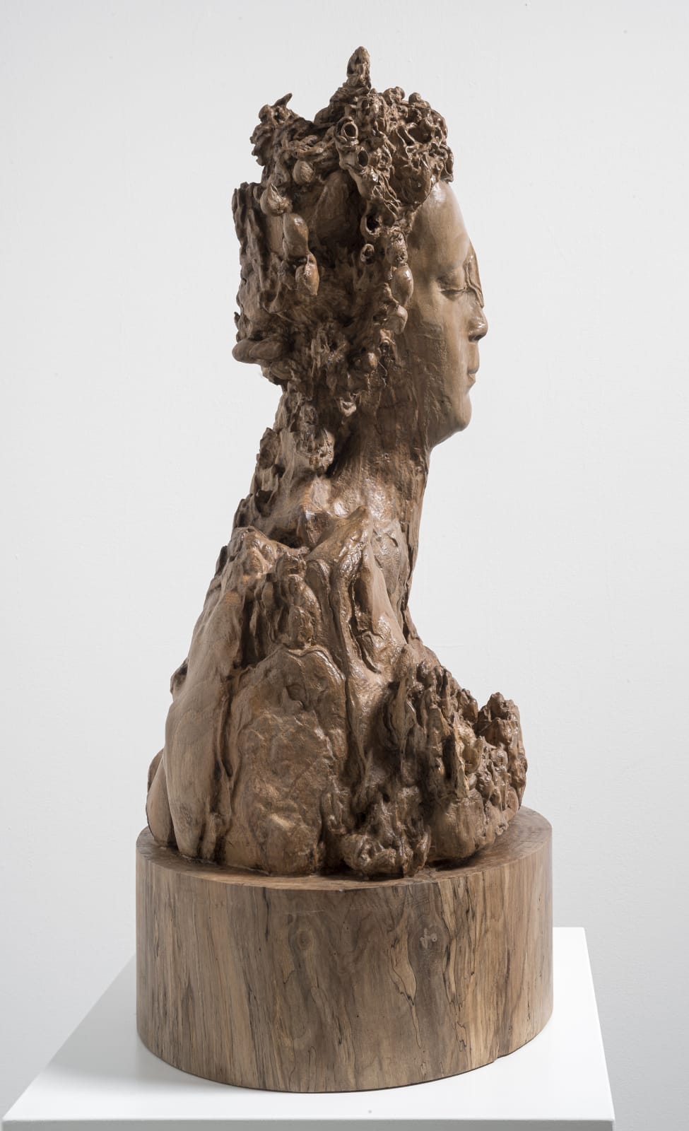 Agostino Arrivabene , Proserpina metamorfica, 2025