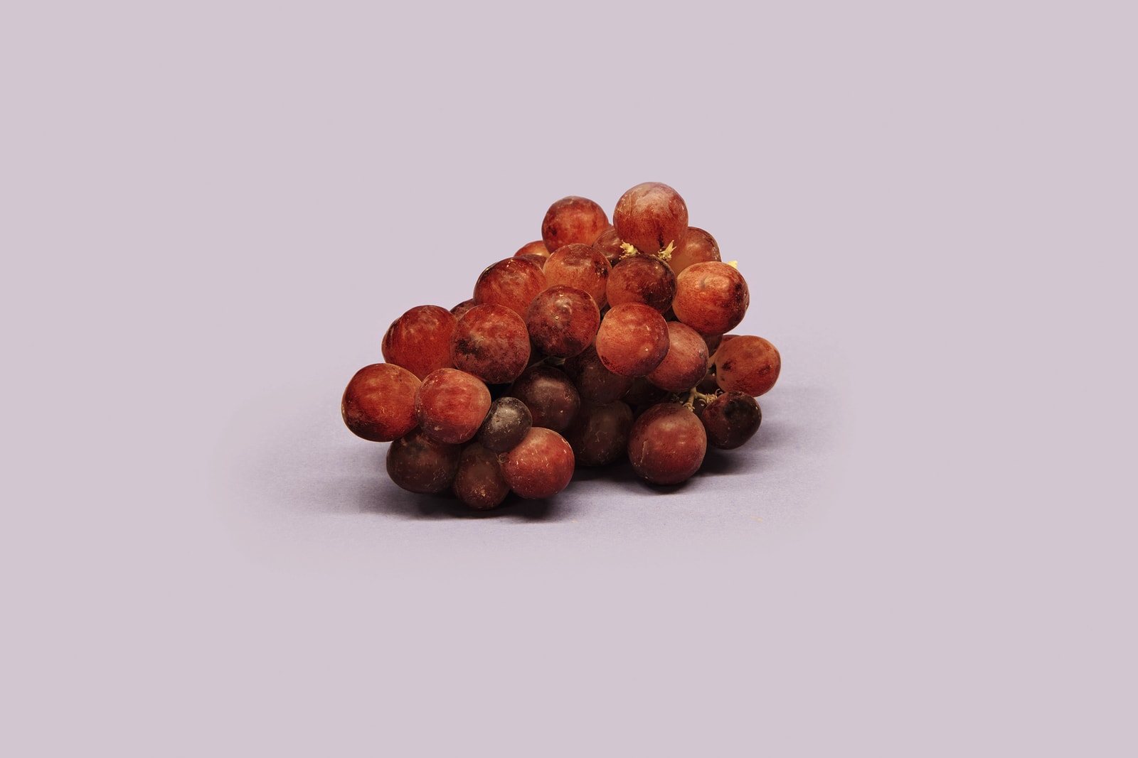 Robert Zhao Renhui, Set of Plates (#18, #19, #20, #21, #22) from 