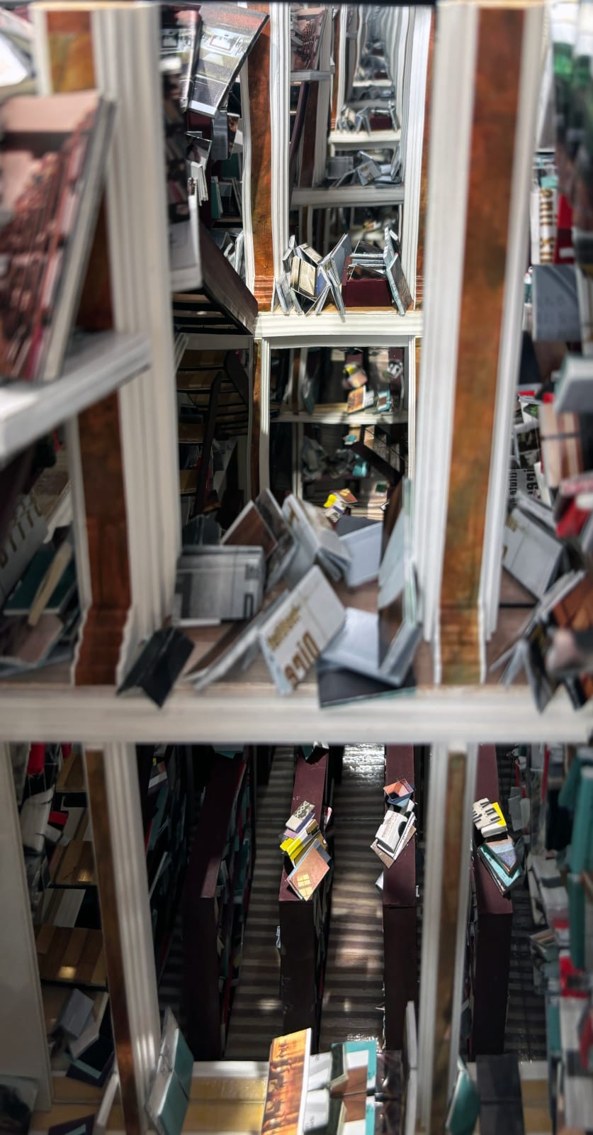 Kenji Sugiyama, Inside - looking through the mirror, 2024