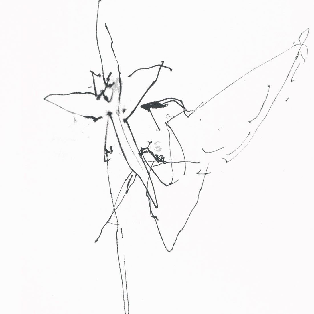 Ben Lowe, Oh, Flower!, 2022