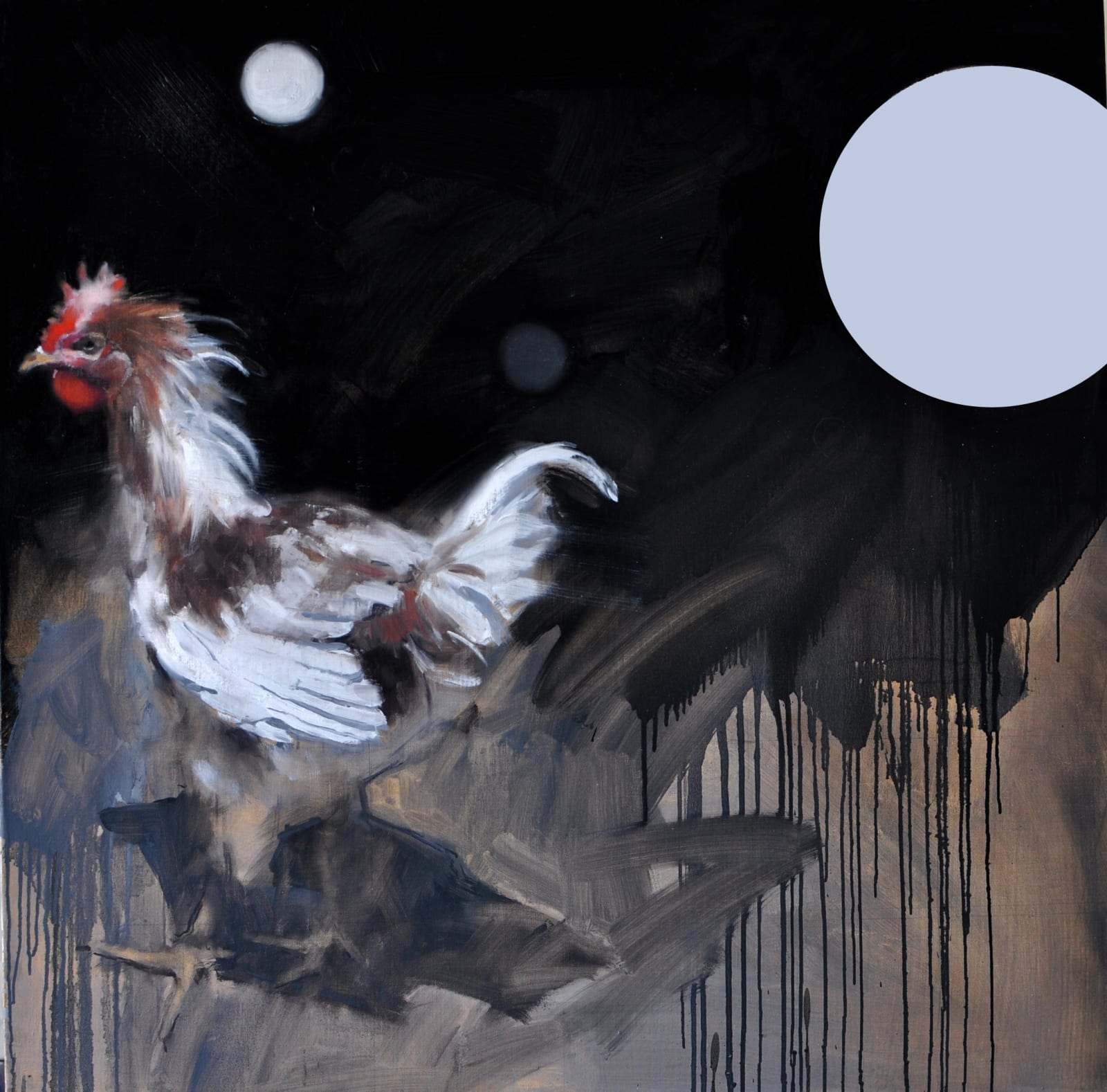 Coqs at night, Kibera, Kenya, studio, 2012