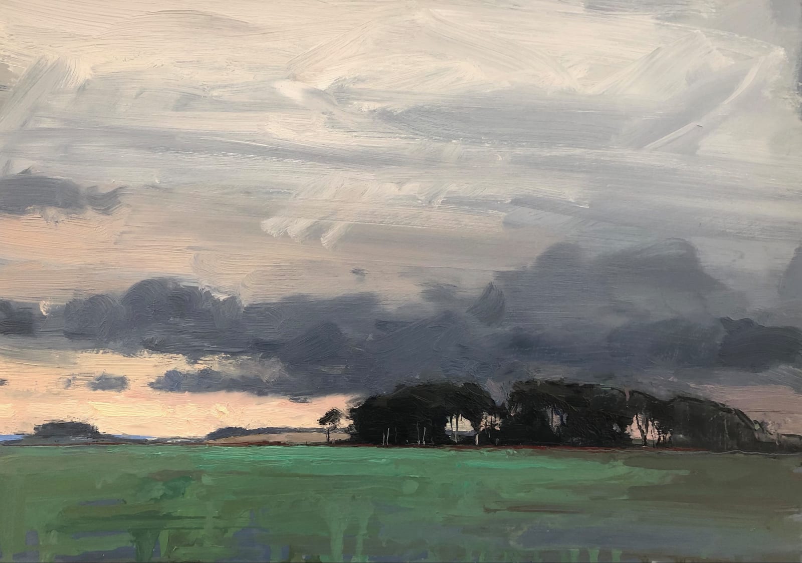 Marching through time, trees, Dorset REx, 2022