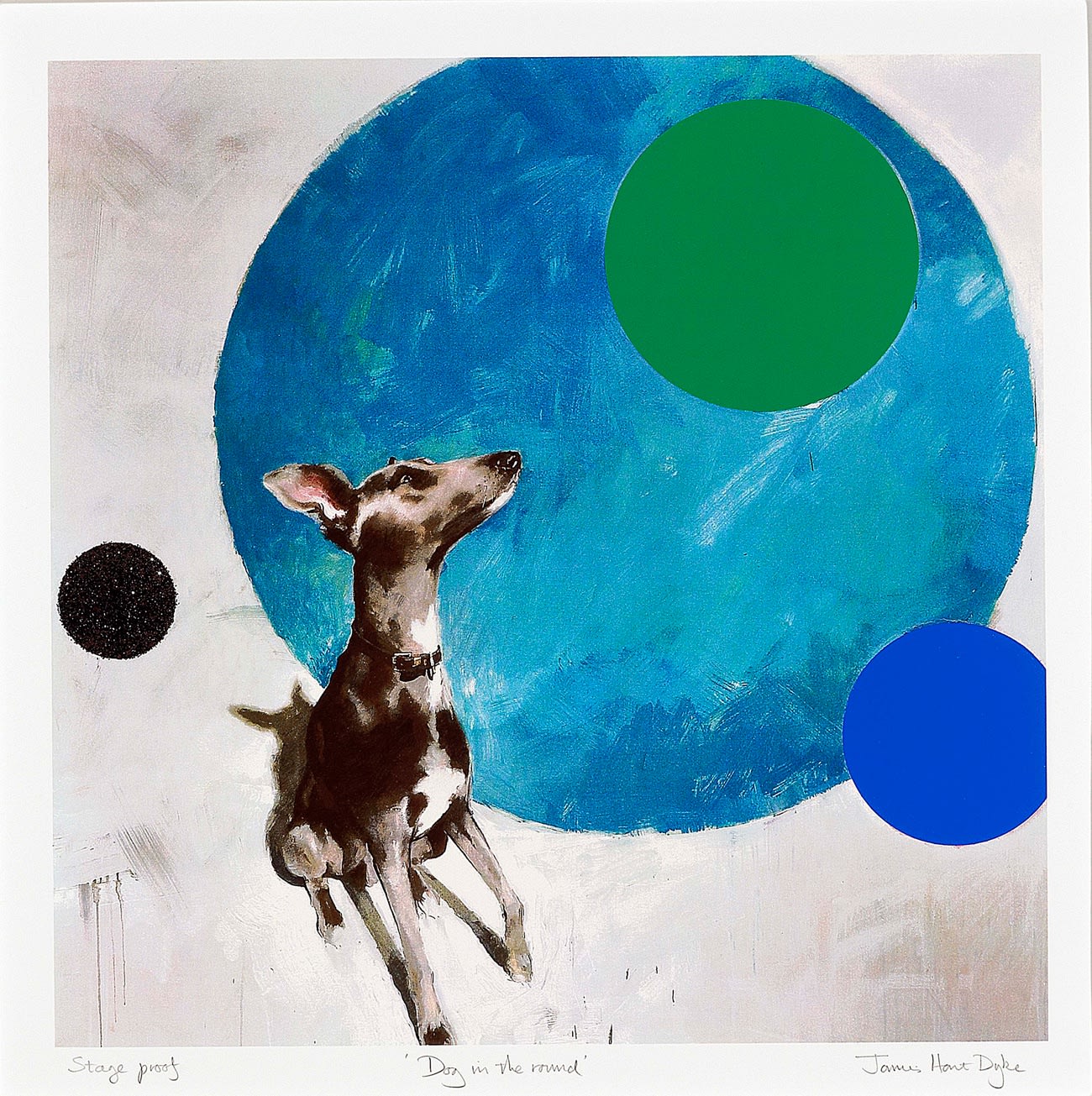 Dog in the round, MI6 print, 2011
