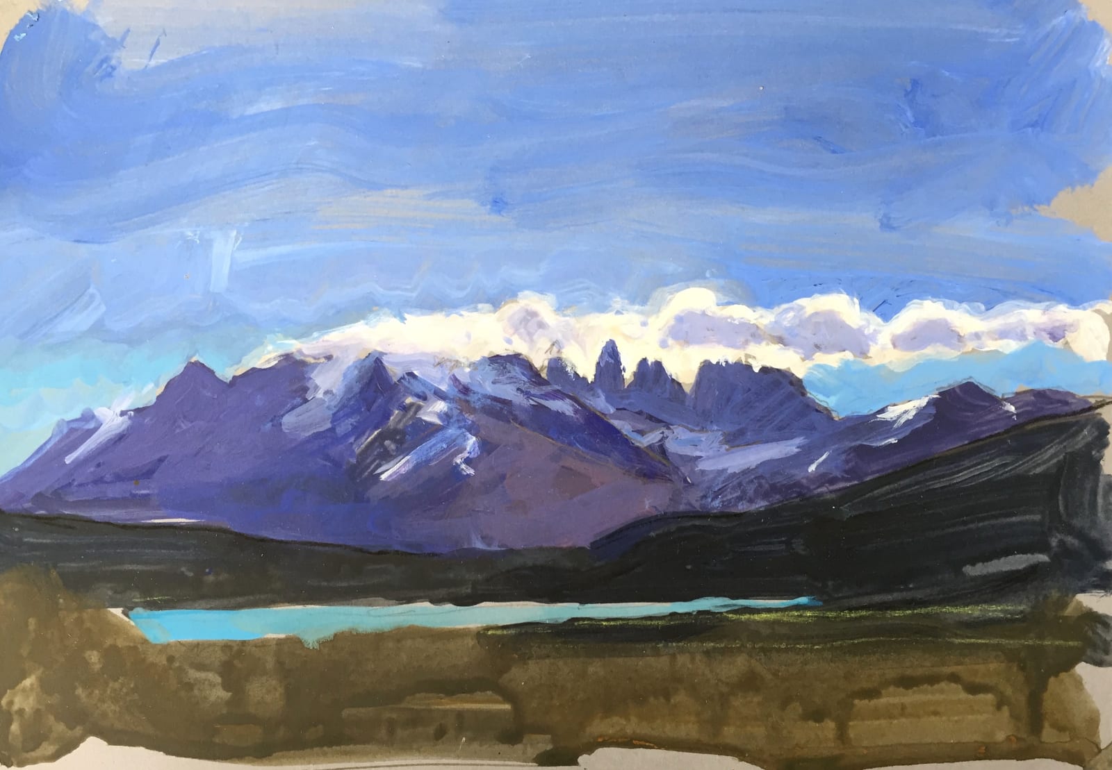 Plume, Torres del Paine, Patagonia, 2018