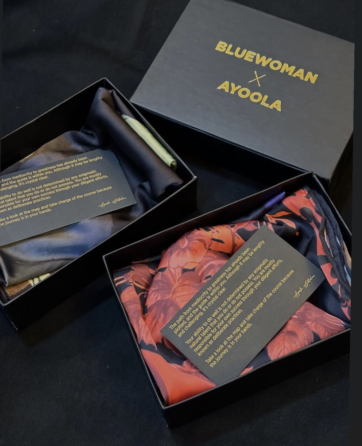 Gbolahan Ayoola, BlueWoman x Ayoola II, 2024