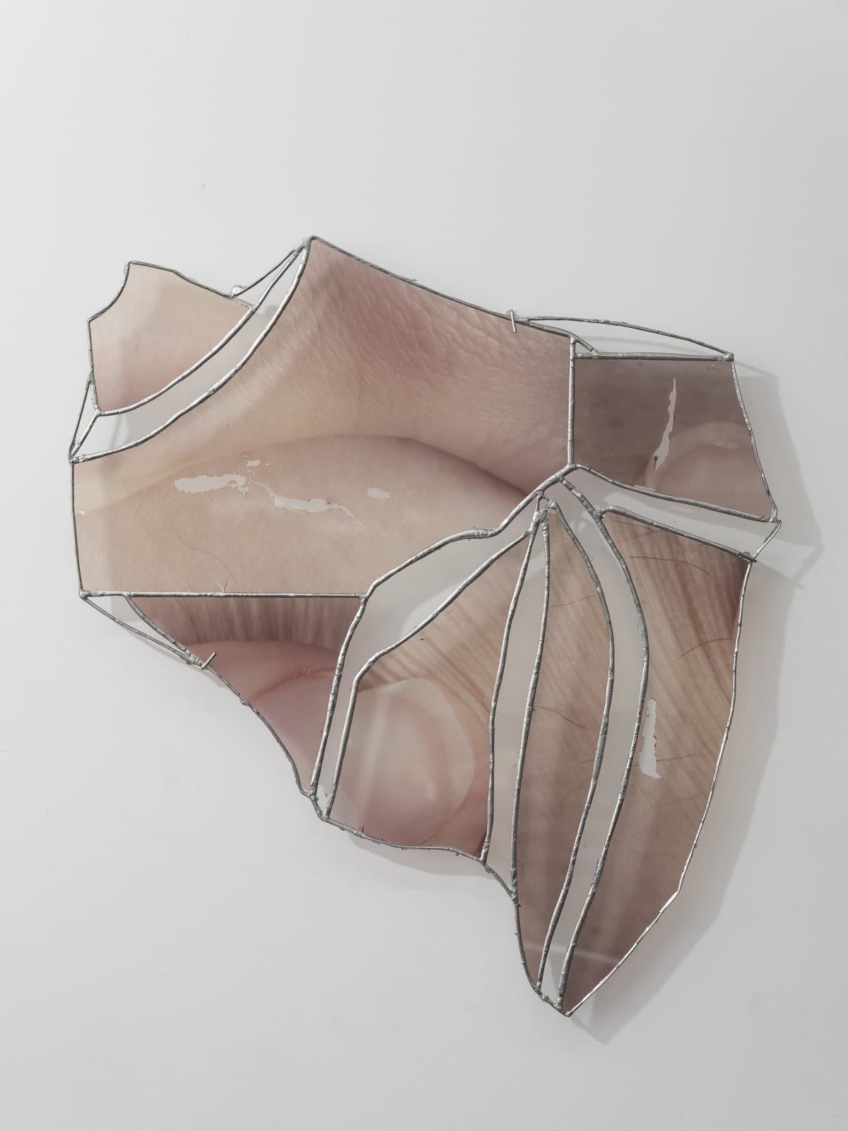 Ryan Van Der Hout, a fragment of your less known parts, 2024