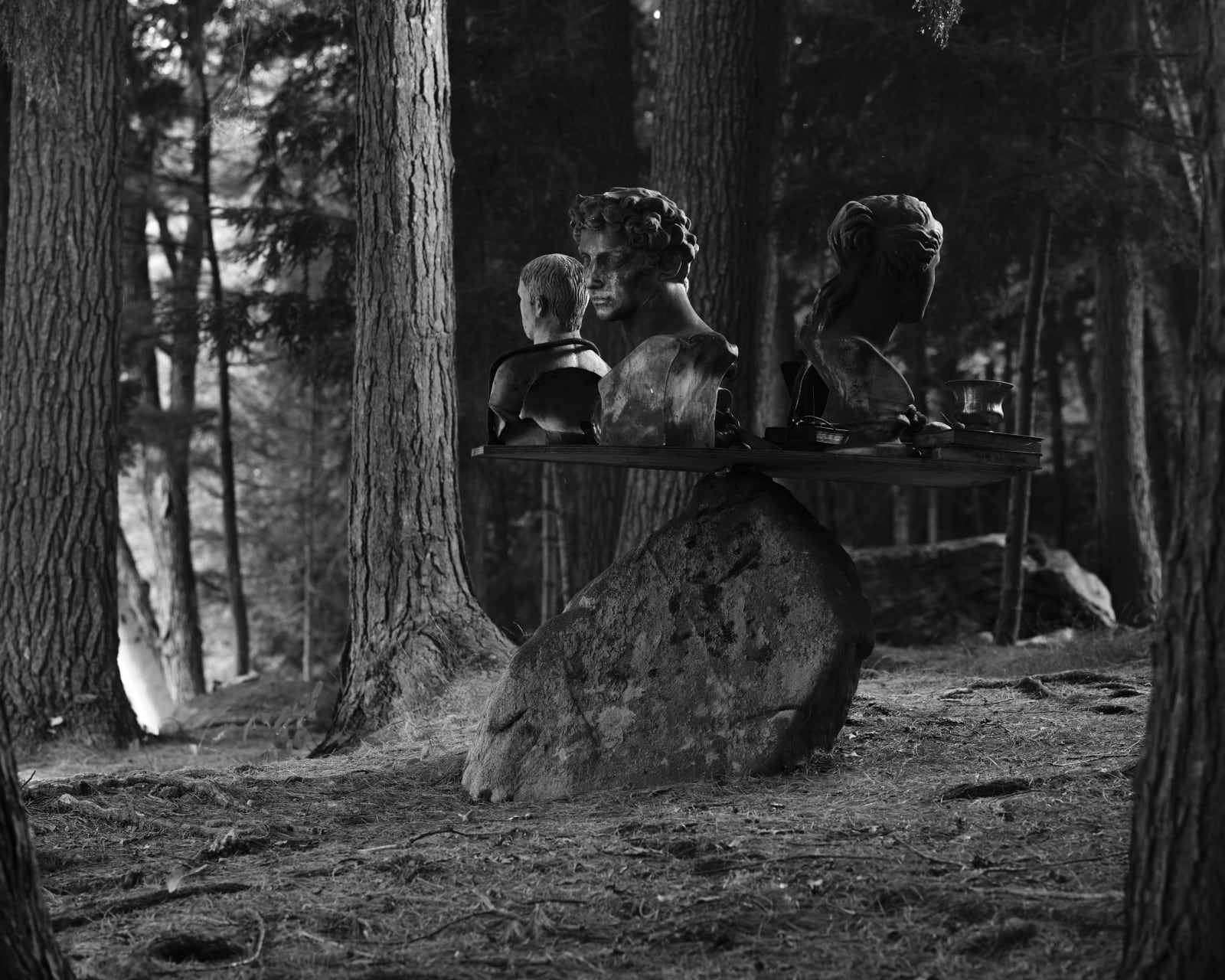 Ryan Van Der Hout, Stress Test, 2021