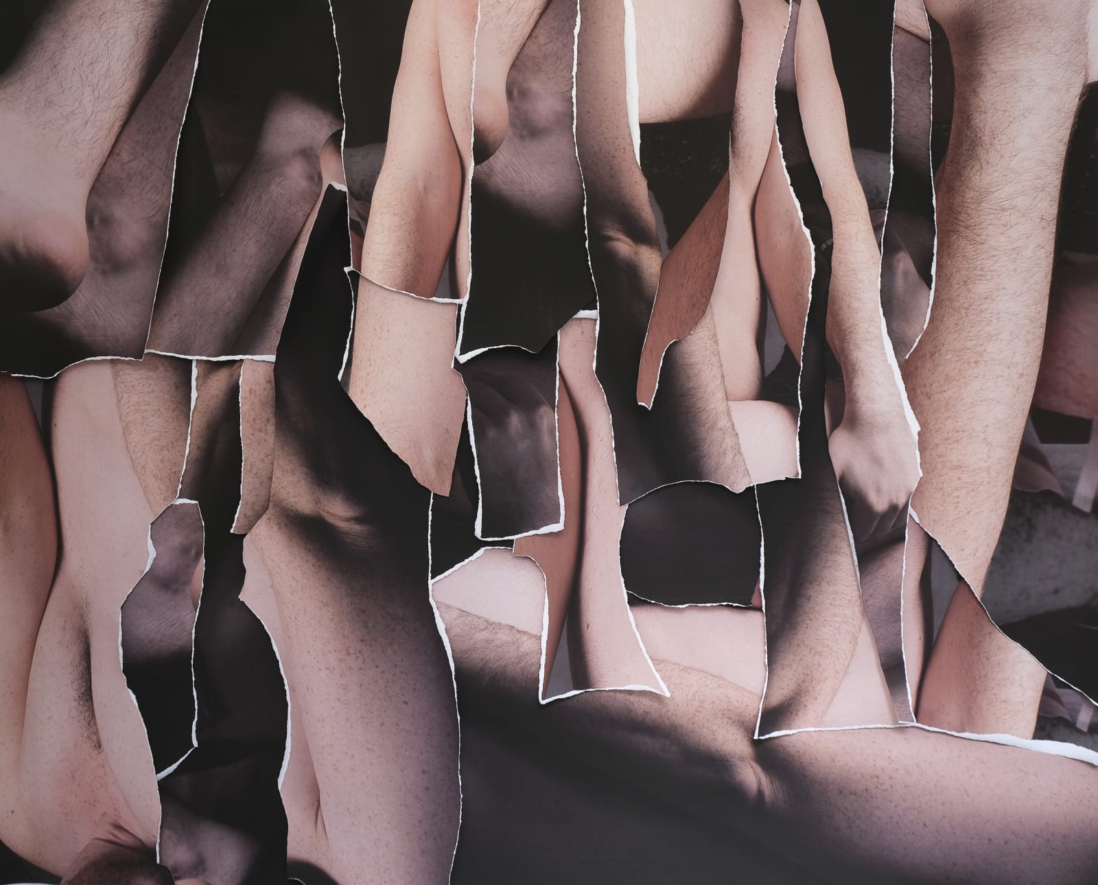 Ryan Van Der Hout, Self Portrait ( Torn ), 2022