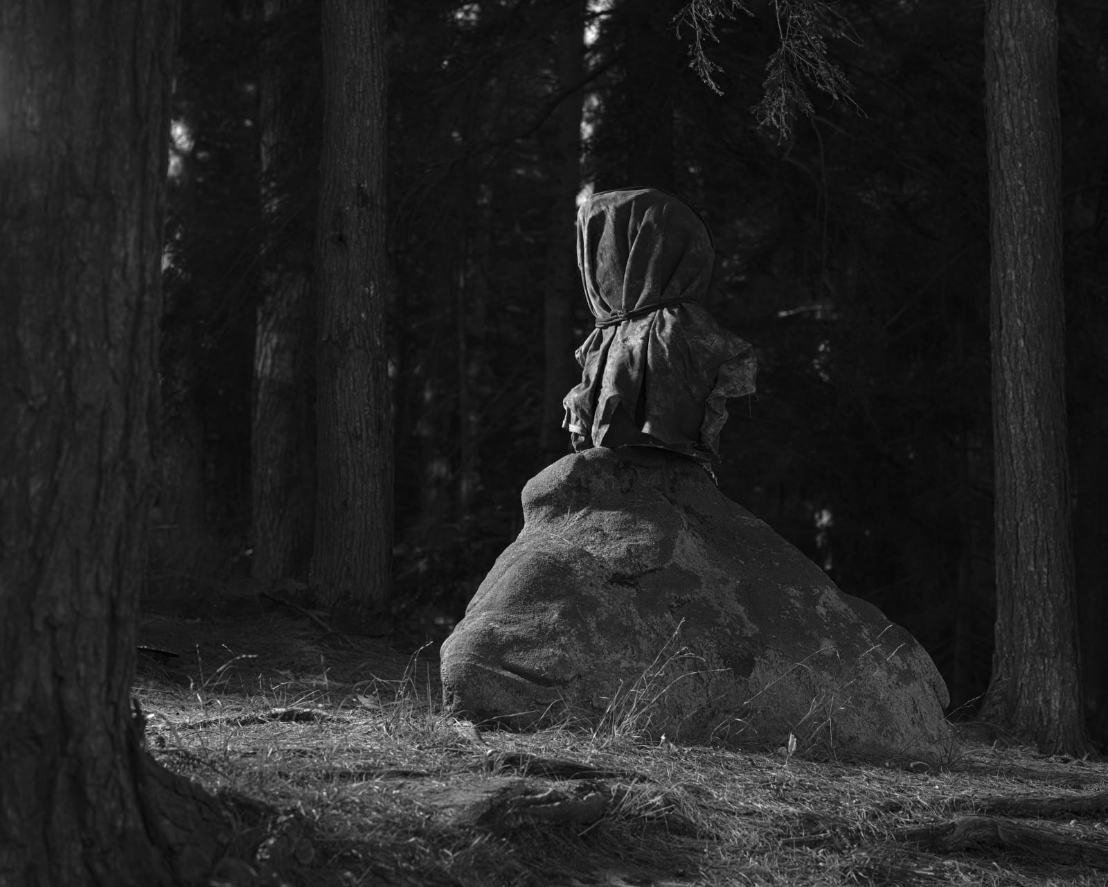 Ryan Van Der Hout, Spotlight Theory, 2021