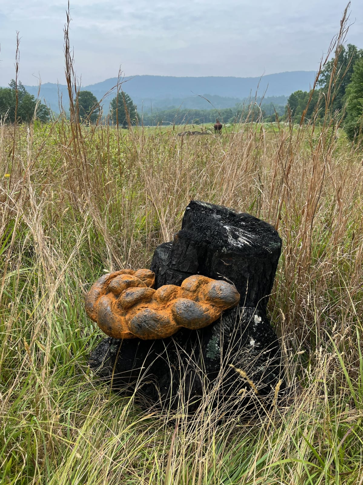 Ryan Van Der Hout, Burnt Bread, 2023